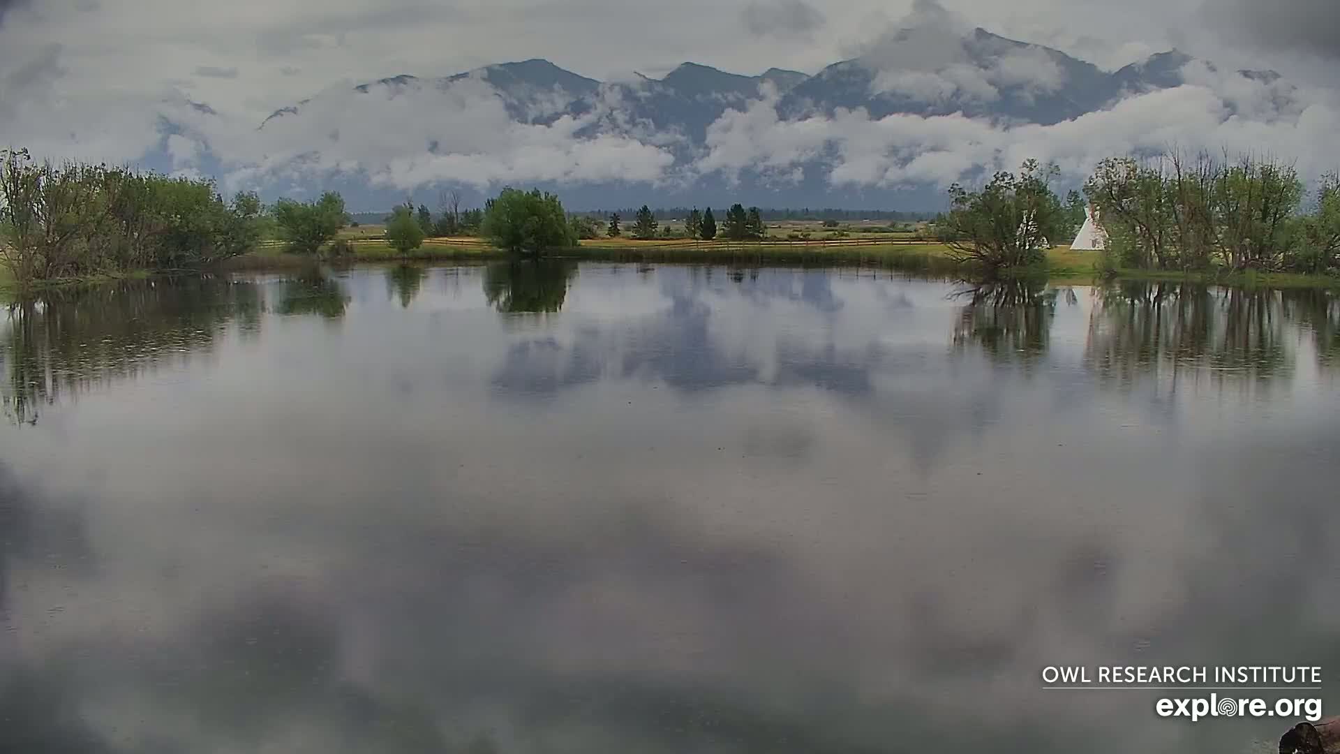 Mission Mountain Range & Mt Calowahcan View from Ninepipe Lodge Wildlife Refuge Live Cam - Charlo, Lake County, Montana, USA