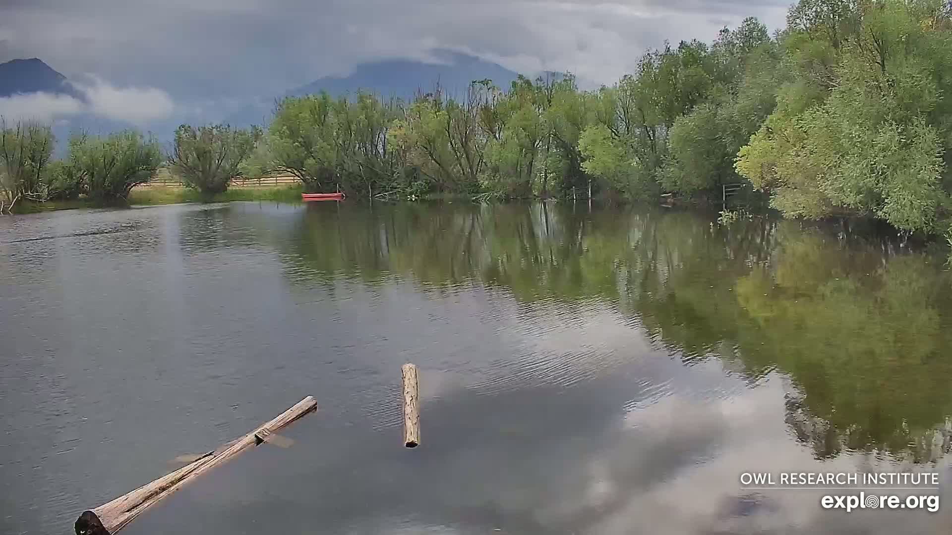 Mission Mountain Range & Mt Calowahcan View from Ninepipe Lodge Wildlife Refuge Live Cam - Charlo, Lake County, Montana, USA
