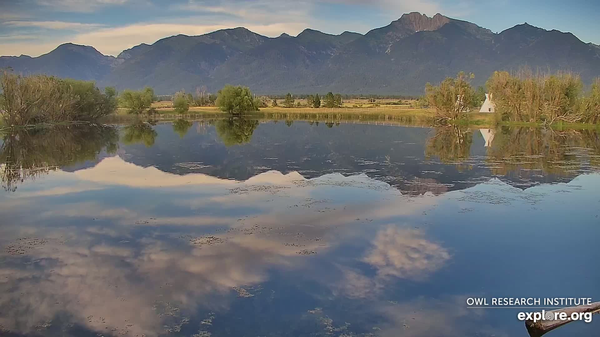 Mission Mountain Range & Mt Calowahcan View from Ninepipe Lodge Wildlife Refuge Live Cam - Charlo, Lake County, Montana, USA