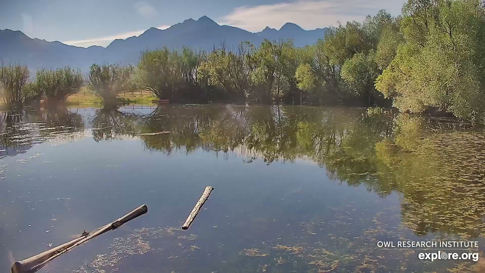 Mission Mountain Range & Mt Calowahcan View from Ninepipe Lodge Wildlife Refuge Live Cam - Charlo, Lake County, Montana, USA