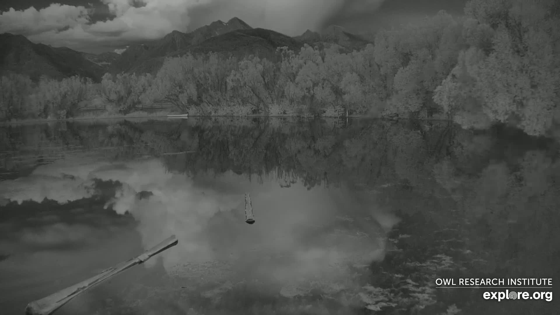 Two logs float on a dark, still body of water at night under a mostly clear sky, with a dark mountain range visible in the background.
