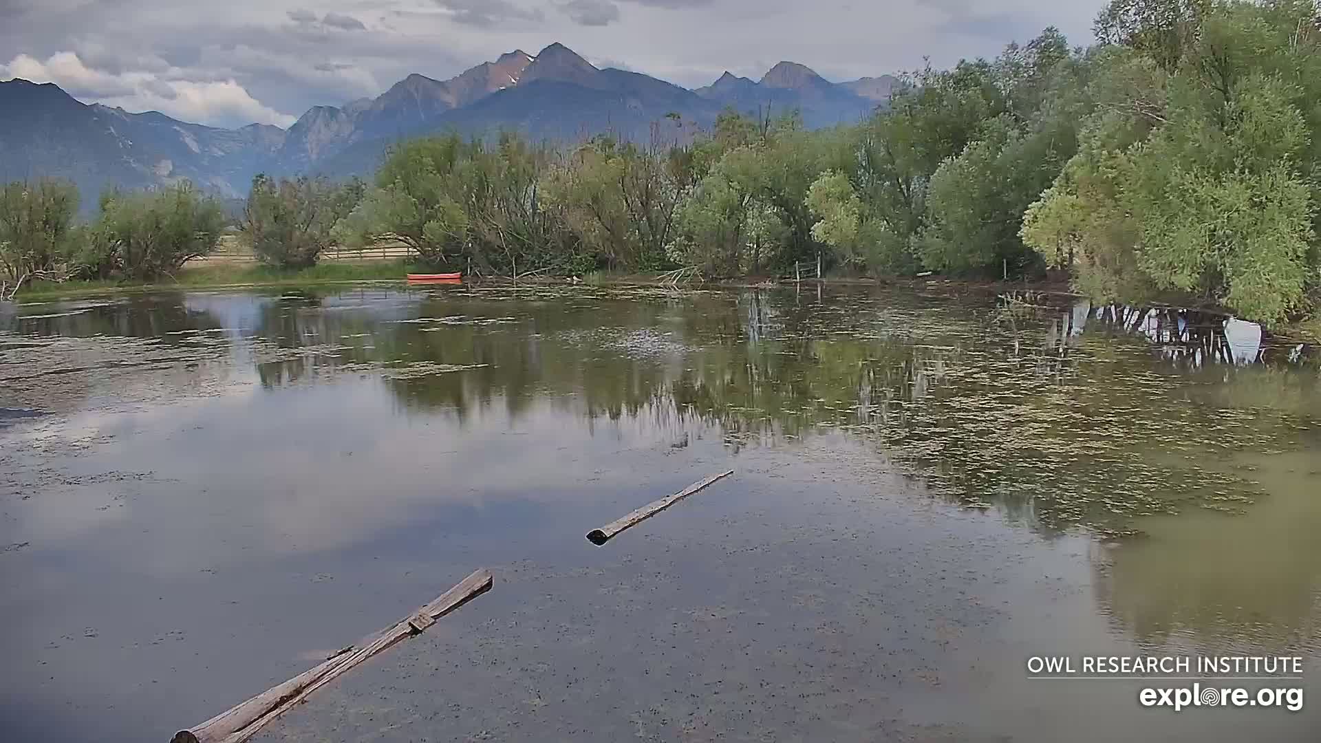 Mission Mountain Range & Mt Calowahcan View from Ninepipe Lodge Wildlife Refuge Live Cam - Charlo, Lake County, Montana, USA
