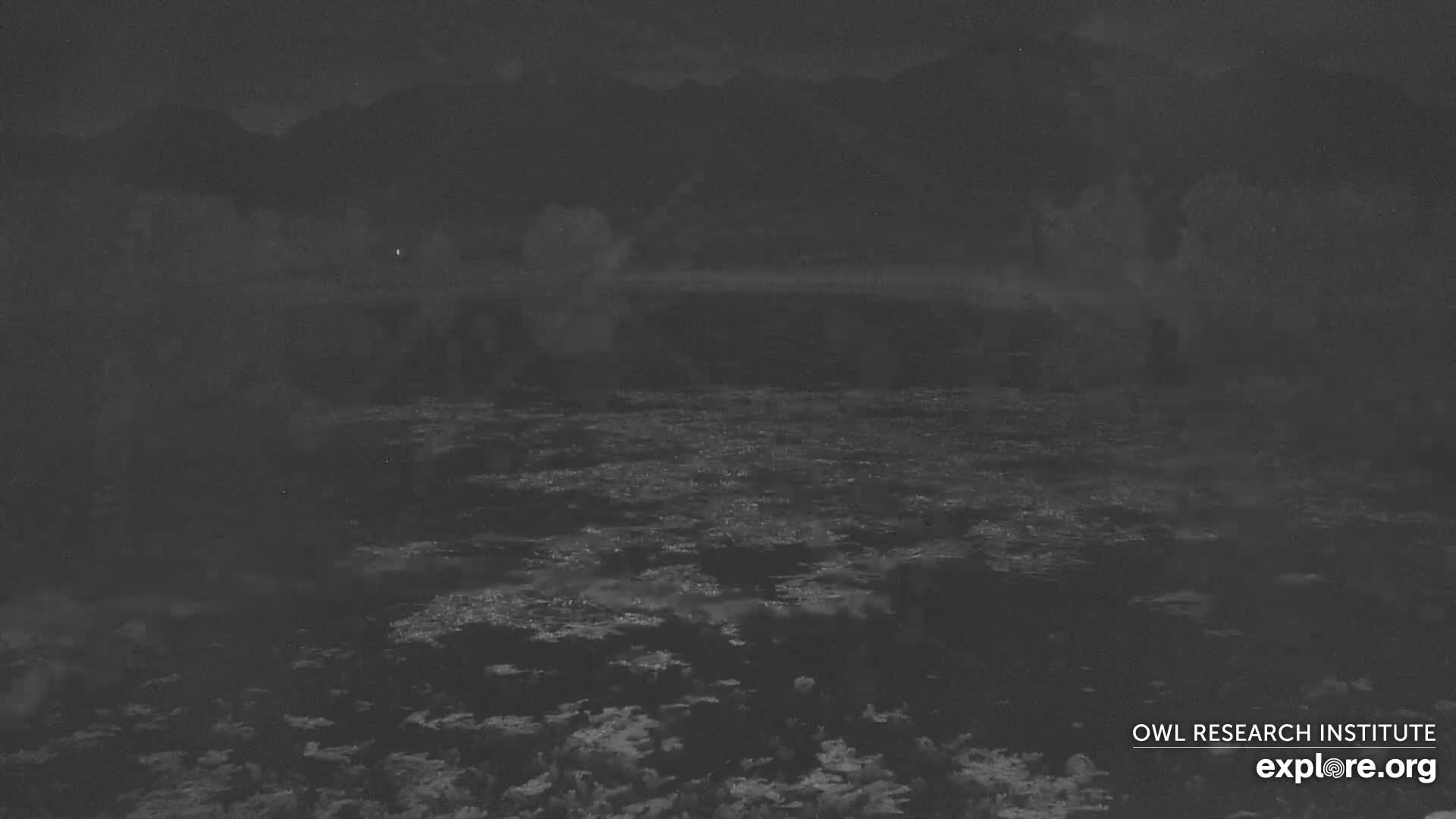 Mission Mountain Range & Mt Calowahcan View from Ninepipe Lodge Wildlife Refuge Live Cam - Charlo, Lake County, Montana, USA