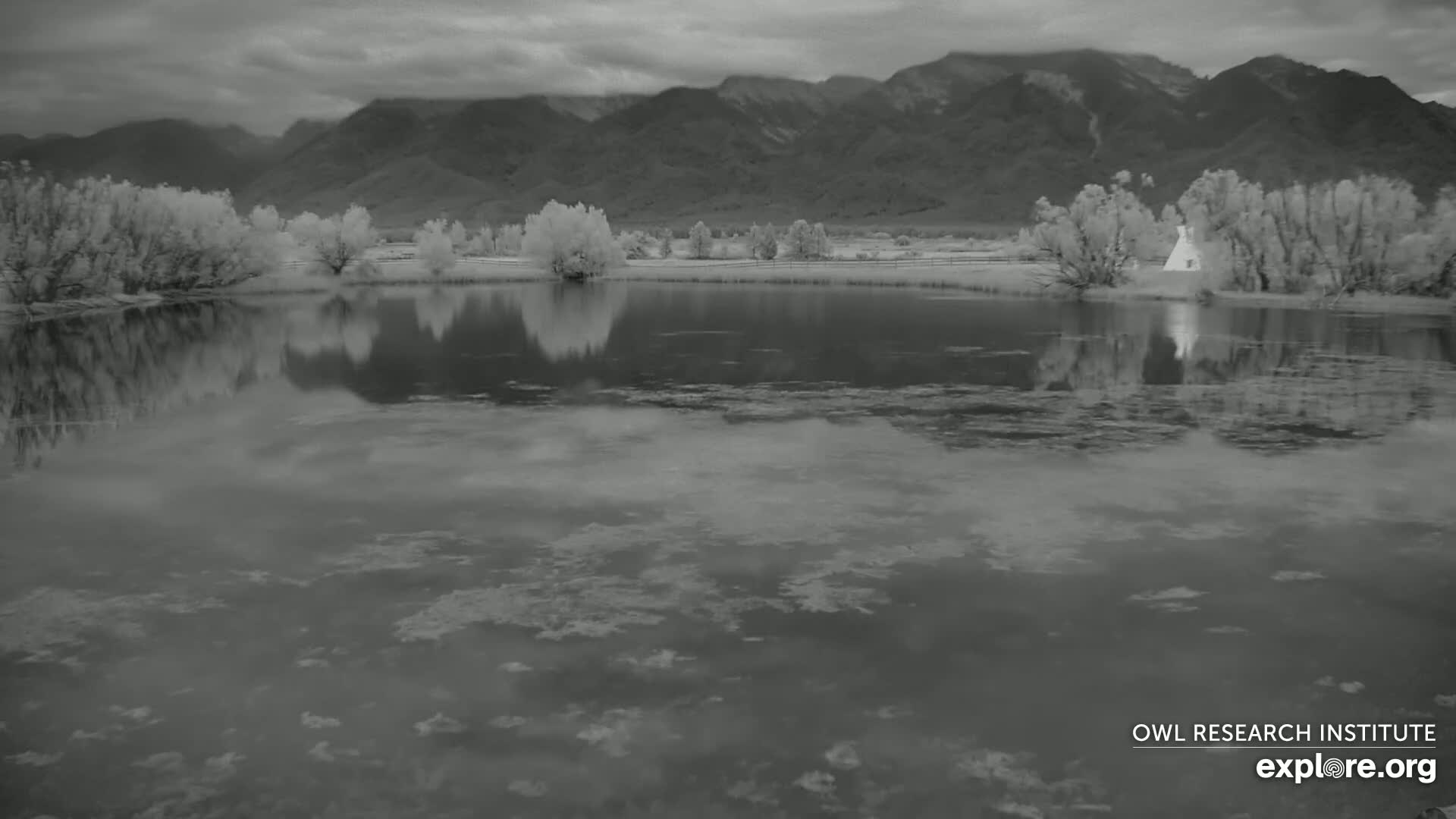 Mission Mountain Range & Mt Calowahcan View from Ninepipe Lodge Wildlife Refuge Live Cam - Charlo, Lake County, Montana, USA