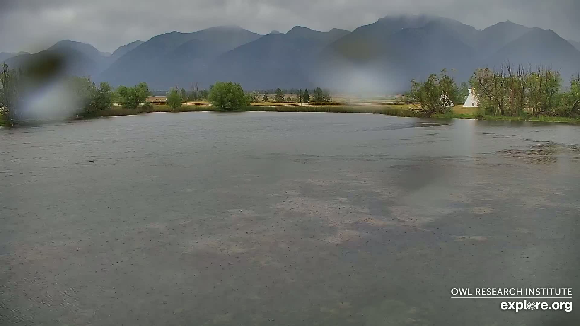 Mission Mountain Range & Mt Calowahcan View from Ninepipe Lodge Wildlife Refuge Live Cam - Charlo, Lake County, Montana, USA