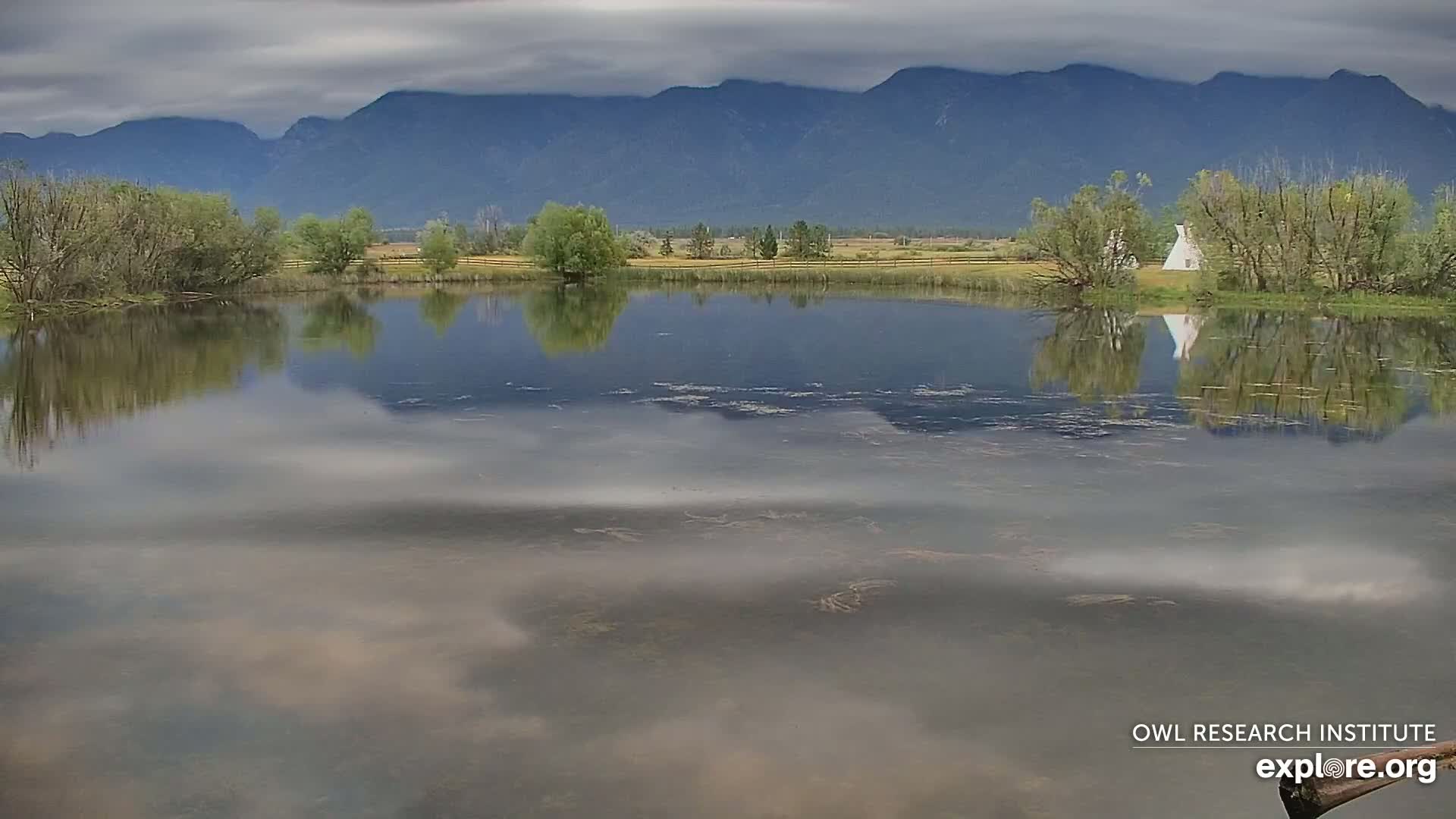Mission Mountain Range & Mt Calowahcan View from Ninepipe Lodge Wildlife Refuge Live Cam - Charlo, Lake County, Montana, USA