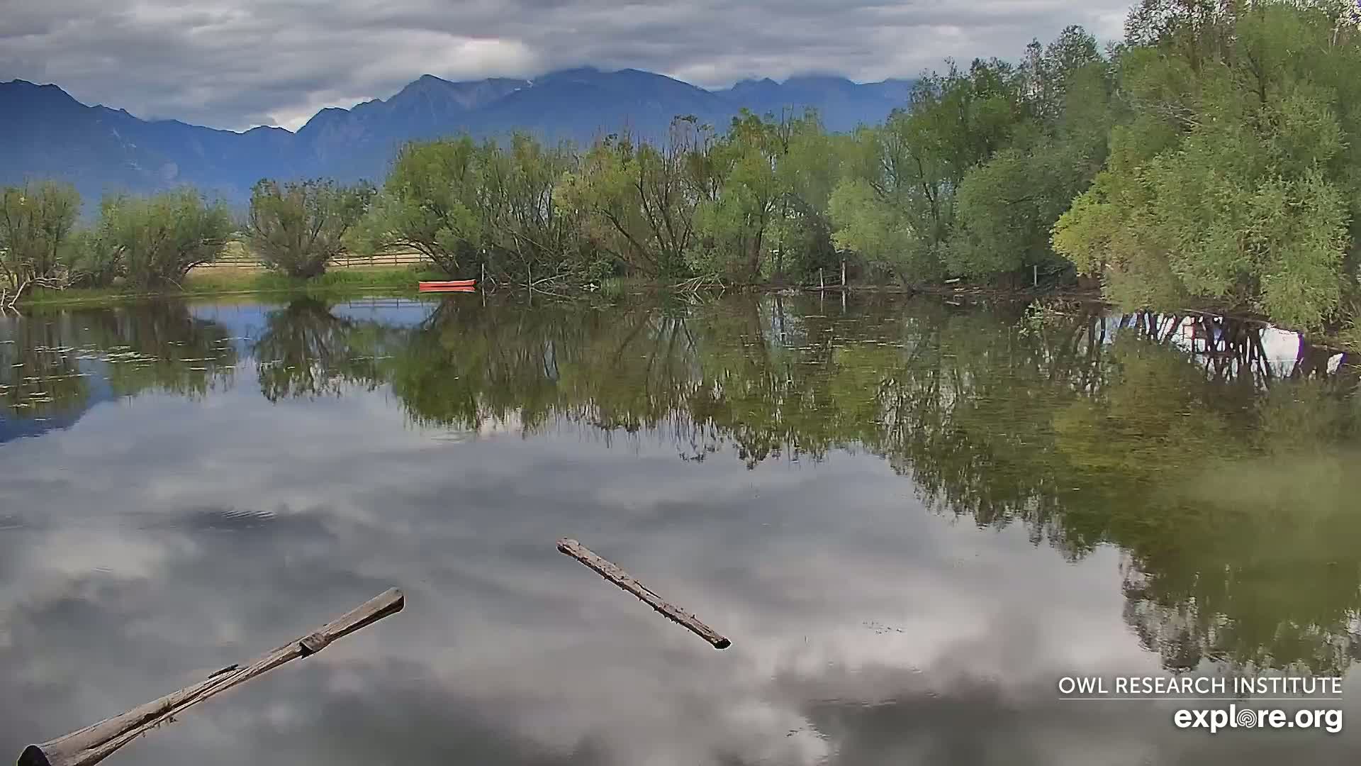 Mission Mountain Range & Mt Calowahcan View from Ninepipe Lodge Wildlife Refuge Live Cam - Charlo, Lake County, Montana, USA