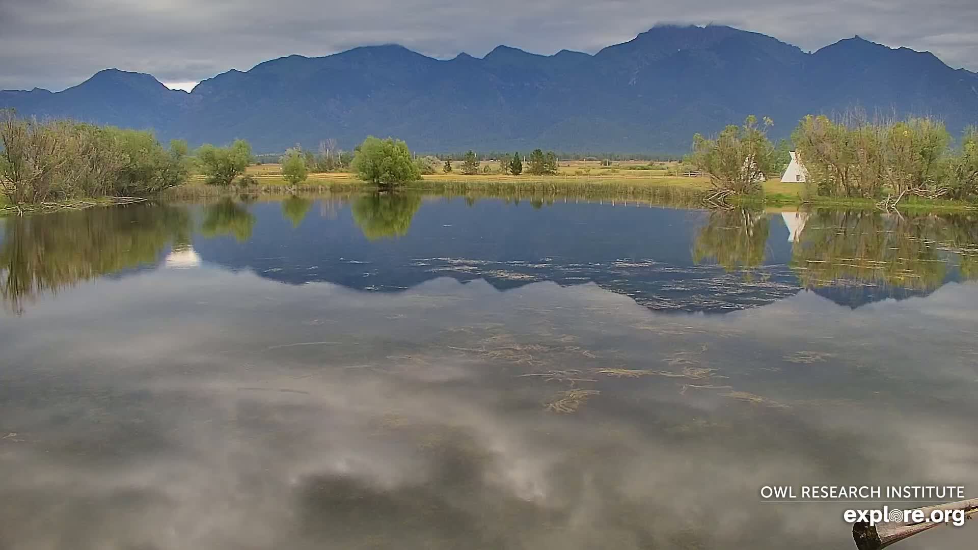 Mission Mountain Range & Mt Calowahcan View from Ninepipe Lodge Wildlife Refuge Live Cam - Charlo, Lake County, Montana, USA