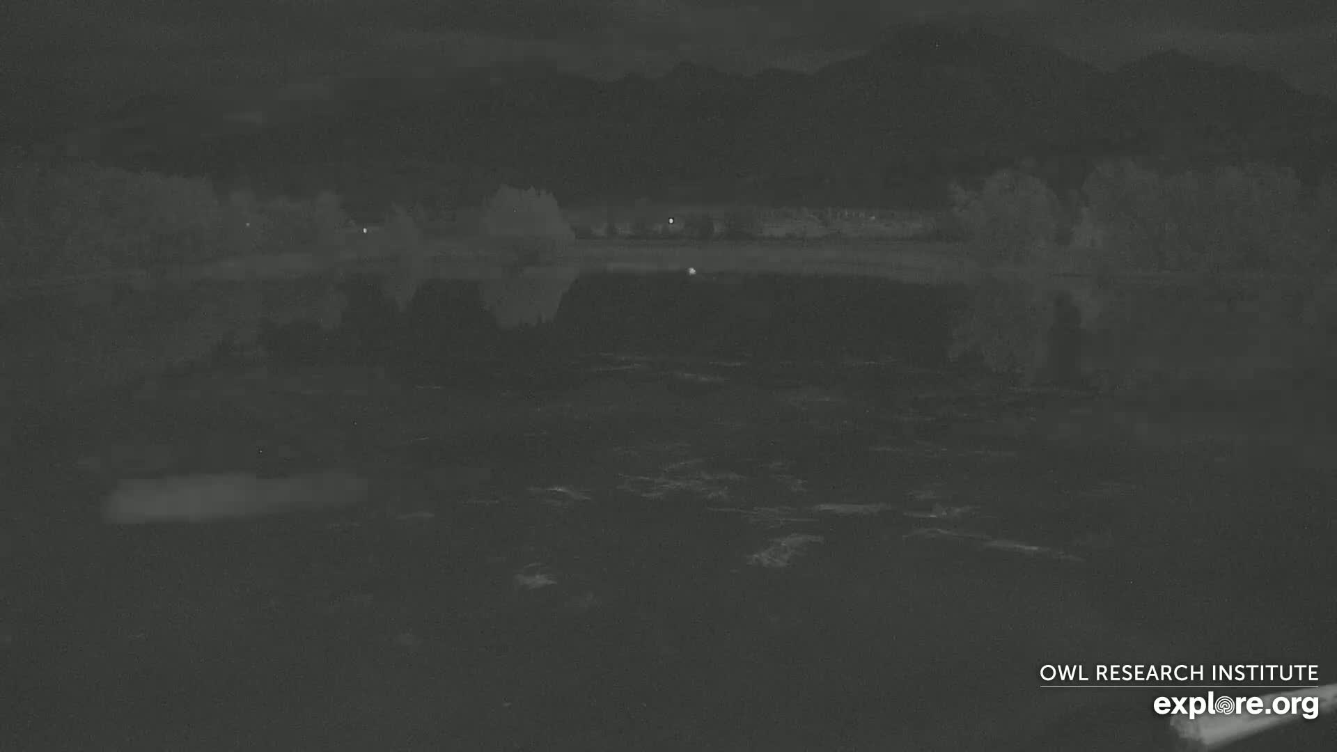 A nighttime view shows a dark body of water with ripples, reflecting a dark shoreline with trees and distant mountains under a cloudy sky.
