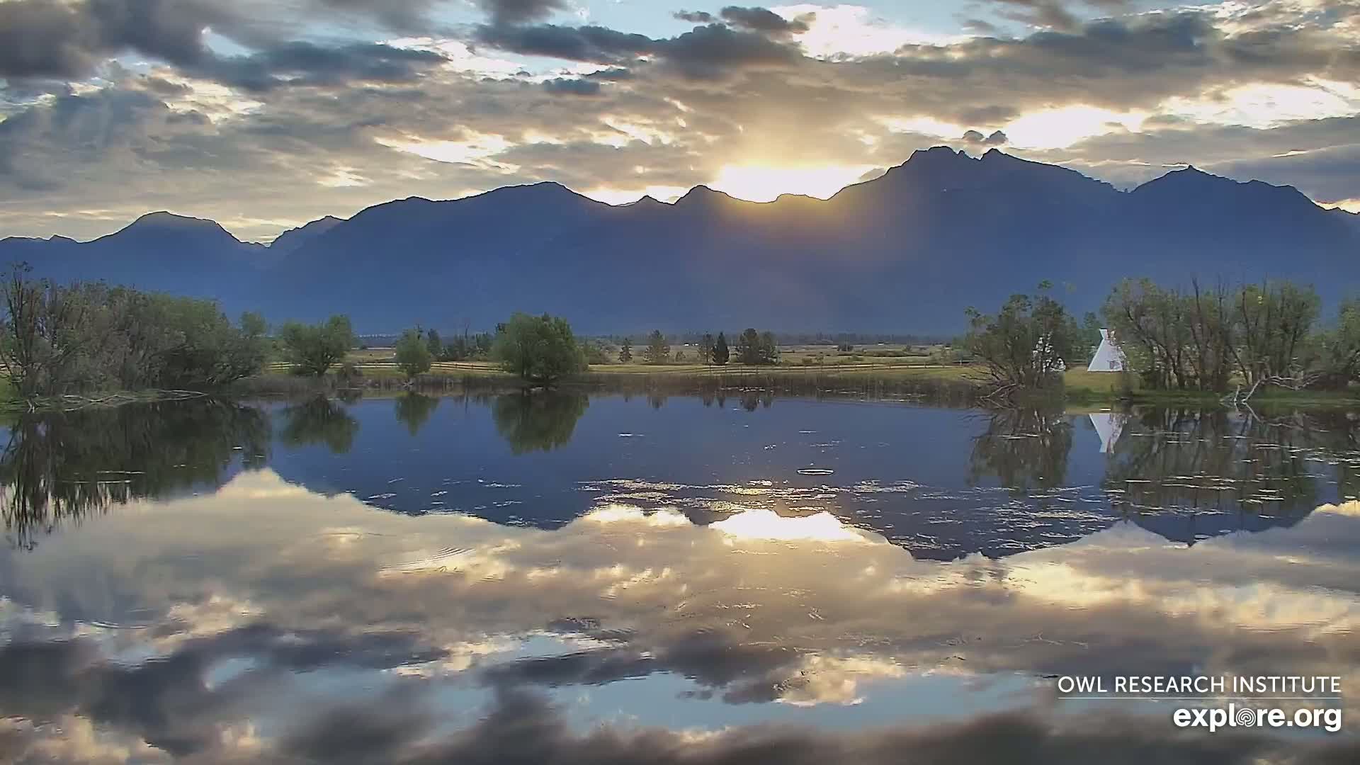 Mission Mountain Range & Mt Calowahcan View from Ninepipe Lodge Wildlife Refuge Live Cam - Charlo, Lake County, Montana, USA