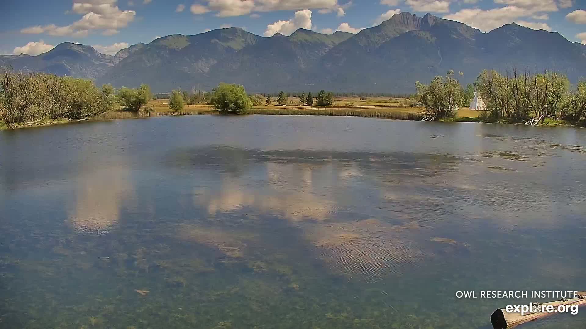 Mission Mountain Range & Mt Calowahcan View from Ninepipe Lodge Wildlife Refuge Live Cam - Charlo, Lake County, Montana, USA