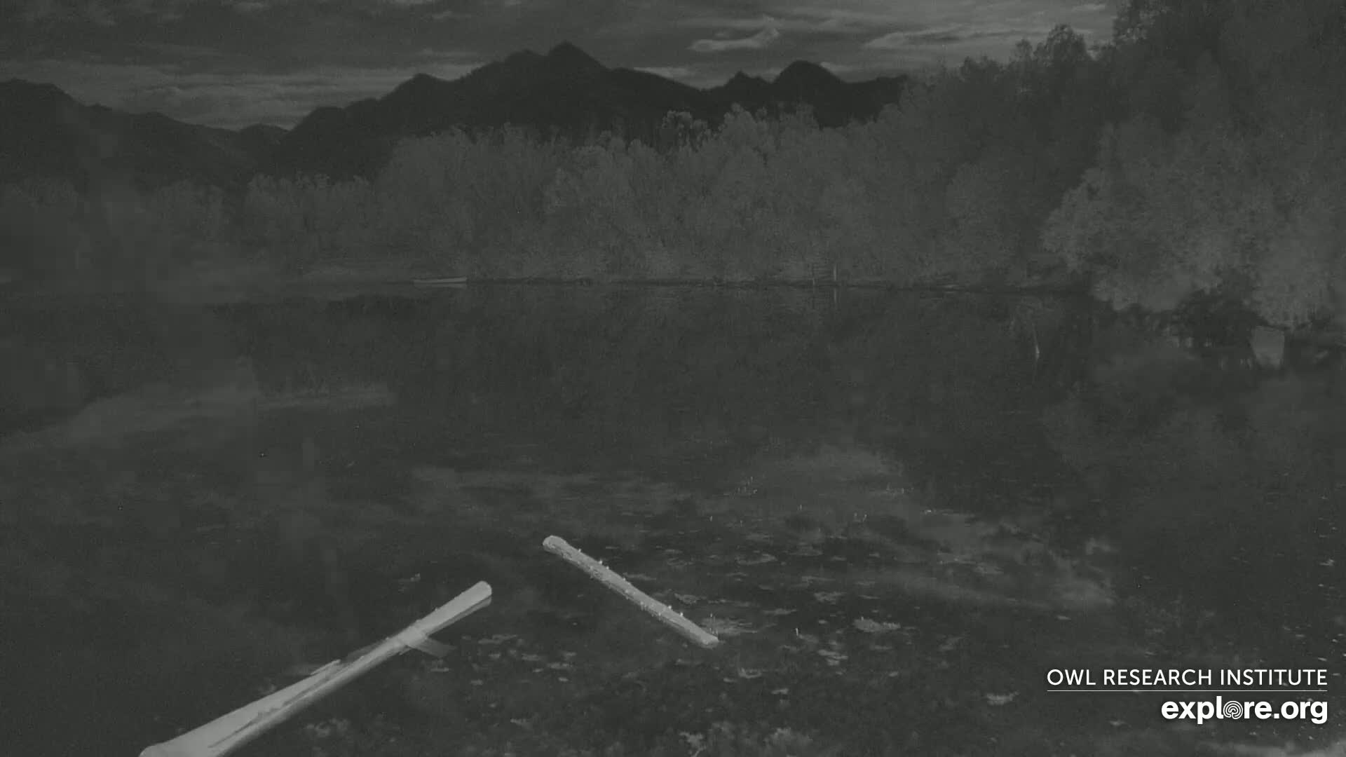 Mission Mountain Range & Mt Calowahcan View from Ninepipe Lodge Wildlife Refuge Live Cam - Charlo, Lake County, Montana, USA