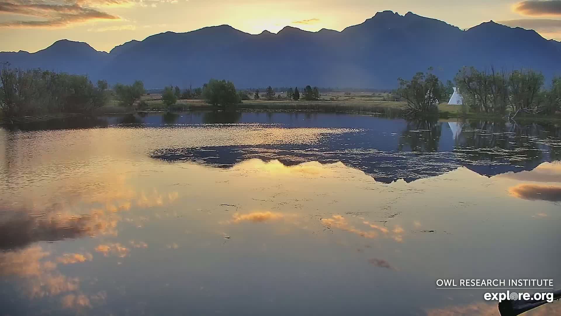 Mission Mountain Range & Mt Calowahcan View from Ninepipe Lodge Wildlife Refuge Live Cam - Charlo, Lake County, Montana, USA