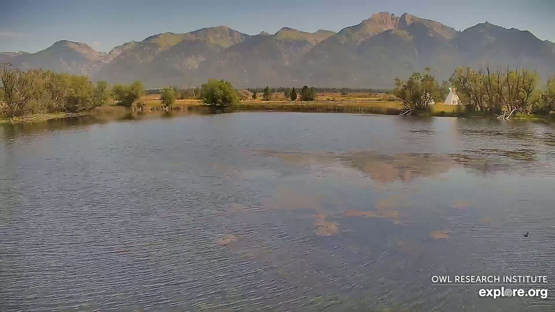 Mission Mountain Range & Mt Calowahcan View from Ninepipe Lodge Wildlife Refuge Live Cam - Charlo, Lake County, Montana, USA