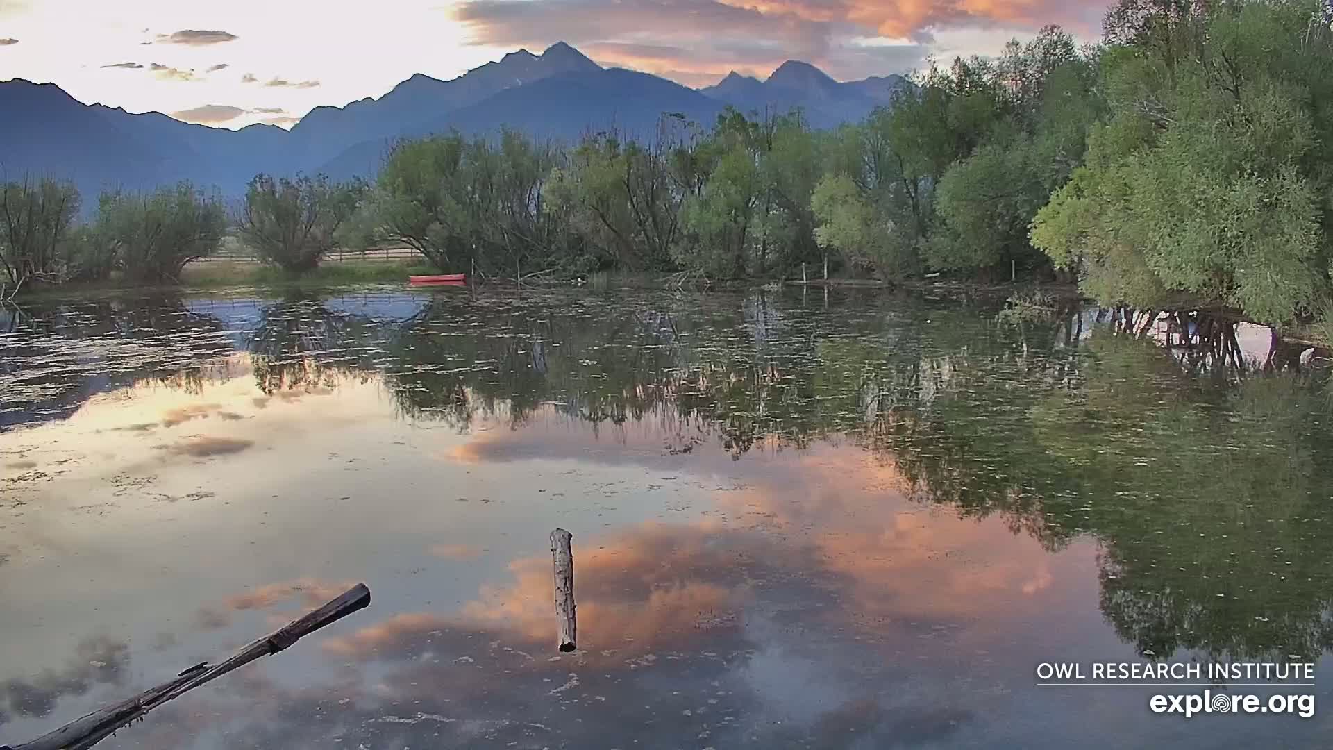 Mission Mountain Range & Mt Calowahcan View from Ninepipe Lodge Wildlife Refuge Live Cam - Charlo, Lake County, Montana, USA