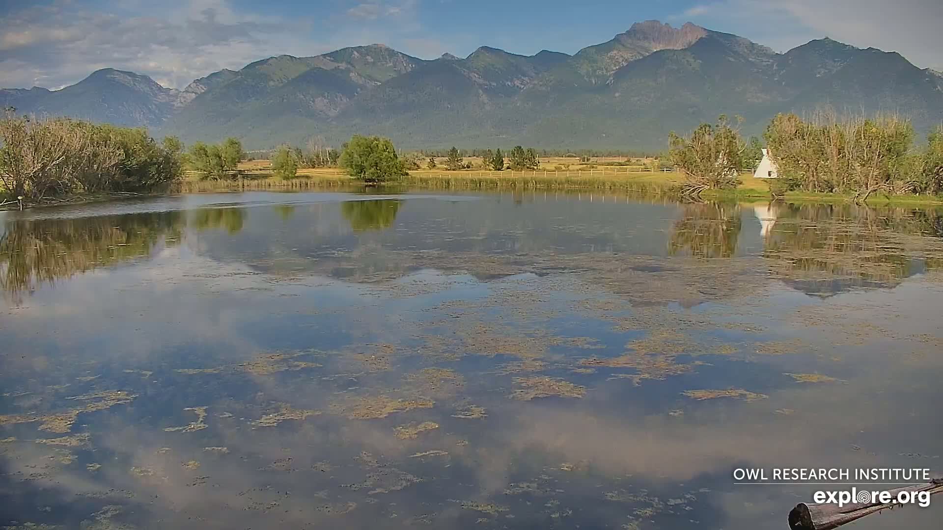Mission Mountain Range & Mt Calowahcan View from Ninepipe Lodge Wildlife Refuge Live Cam - Charlo, Lake County, Montana, USA