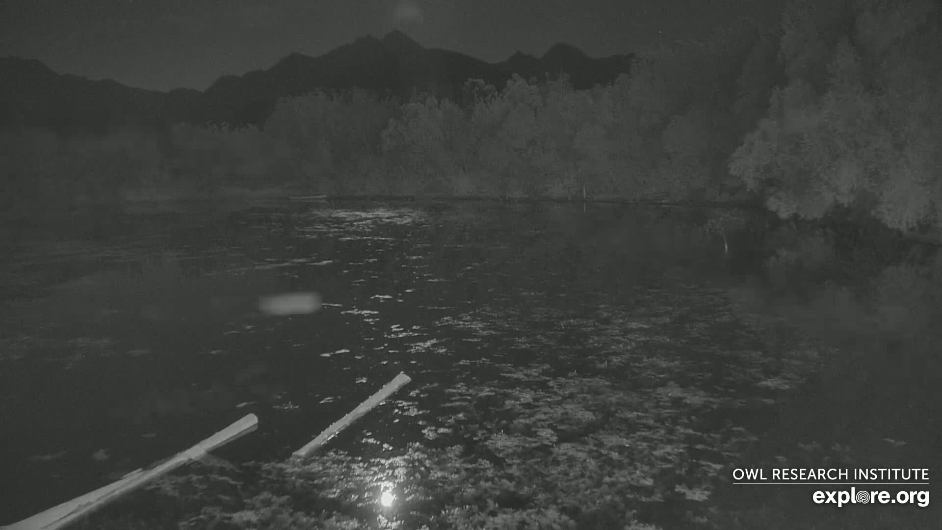 Mission Mountain Range & Mt Calowahcan View from Ninepipe Lodge Wildlife Refuge Live Cam - Charlo, Lake County, Montana, USA
