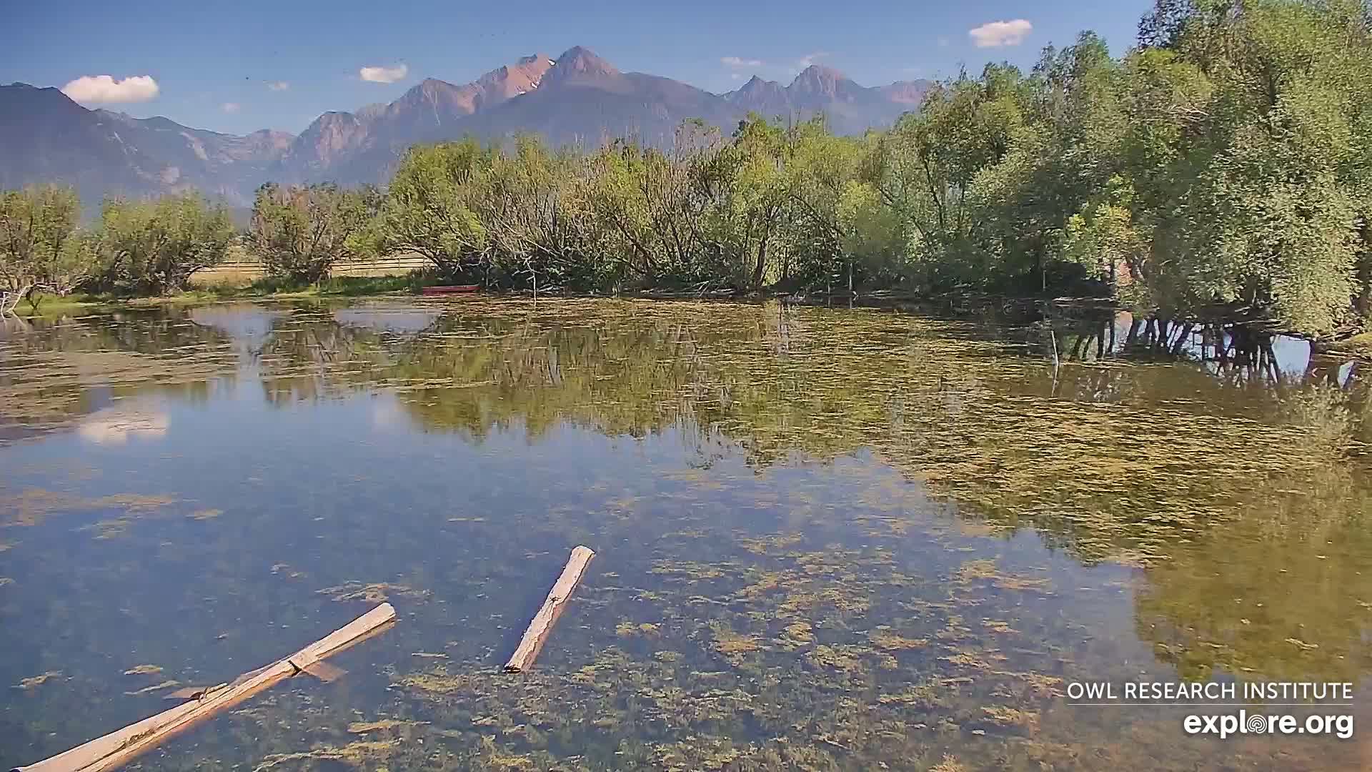 Mission Mountain Range & Mt Calowahcan View from Ninepipe Lodge Wildlife Refuge Live Cam - Charlo, Lake County, Montana, USA