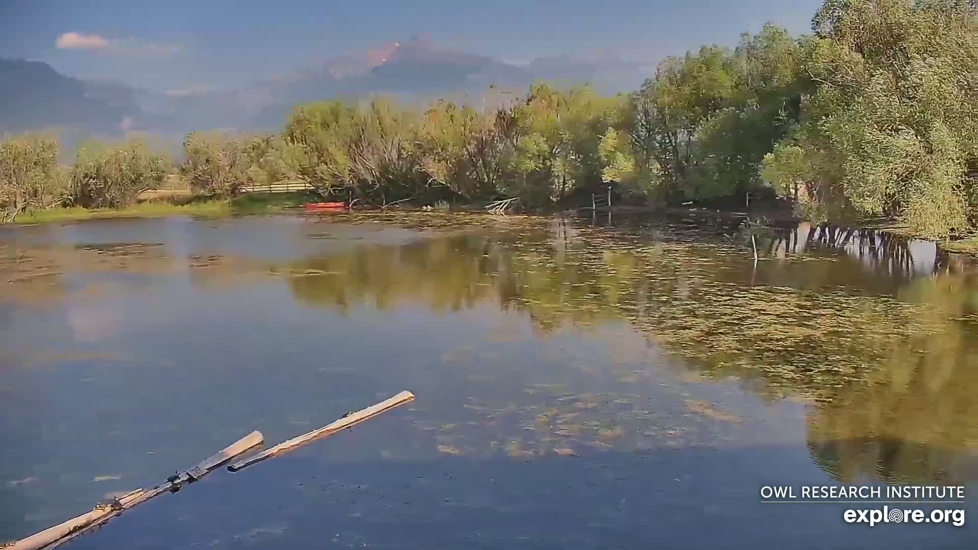 Mission Mountain Range & Mt Calowahcan View from Ninepipe Lodge Wildlife Refuge Live Cam - Charlo, Lake County, Montana, USA