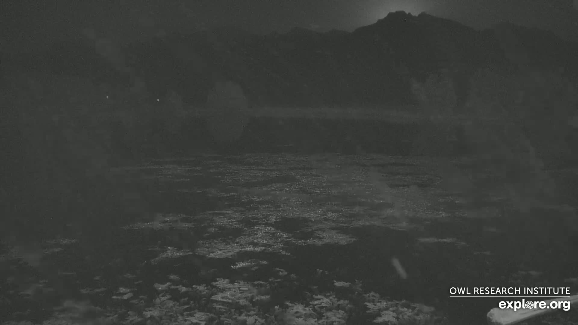 Mission Mountain Range & Mt Calowahcan View from Ninepipe Lodge Wildlife Refuge Live Cam - Charlo, Lake County, Montana, USA