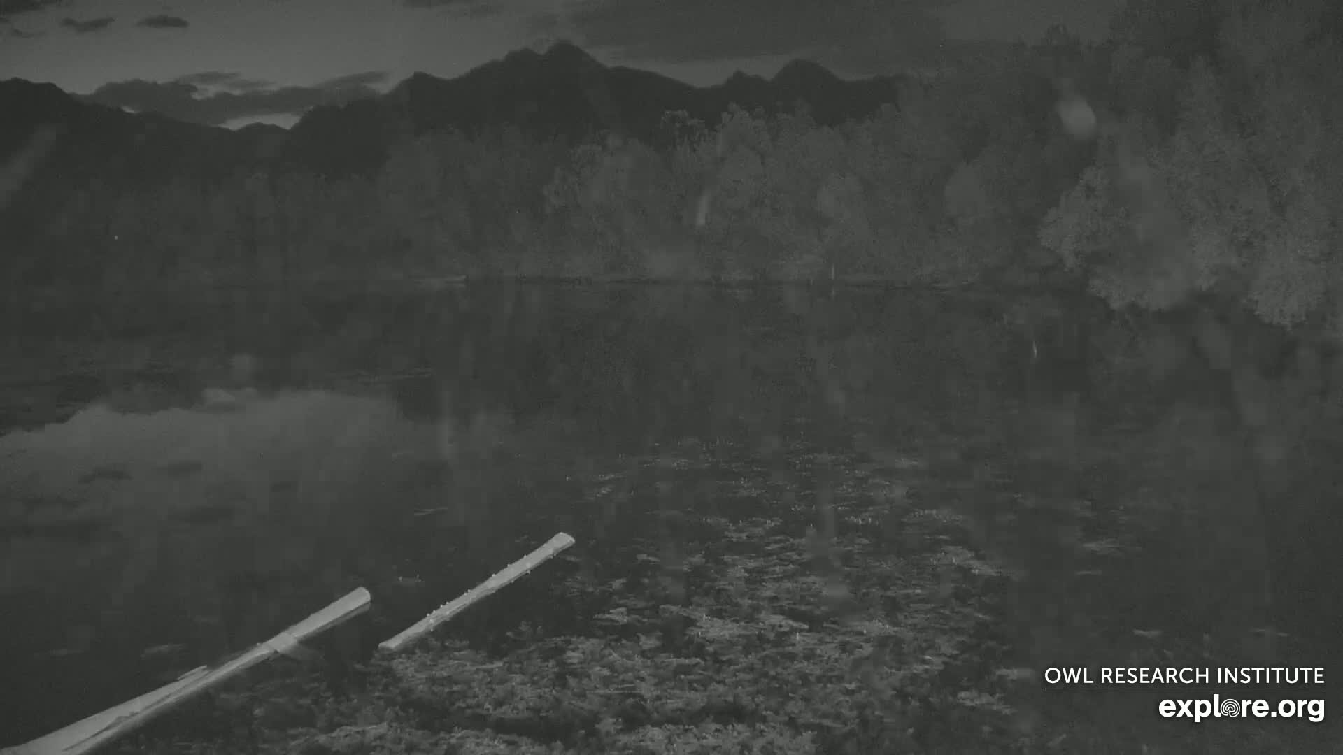 Mission Mountain Range & Mt Calowahcan View from Ninepipe Lodge Wildlife Refuge Live Cam - Charlo, Lake County, Montana, USA