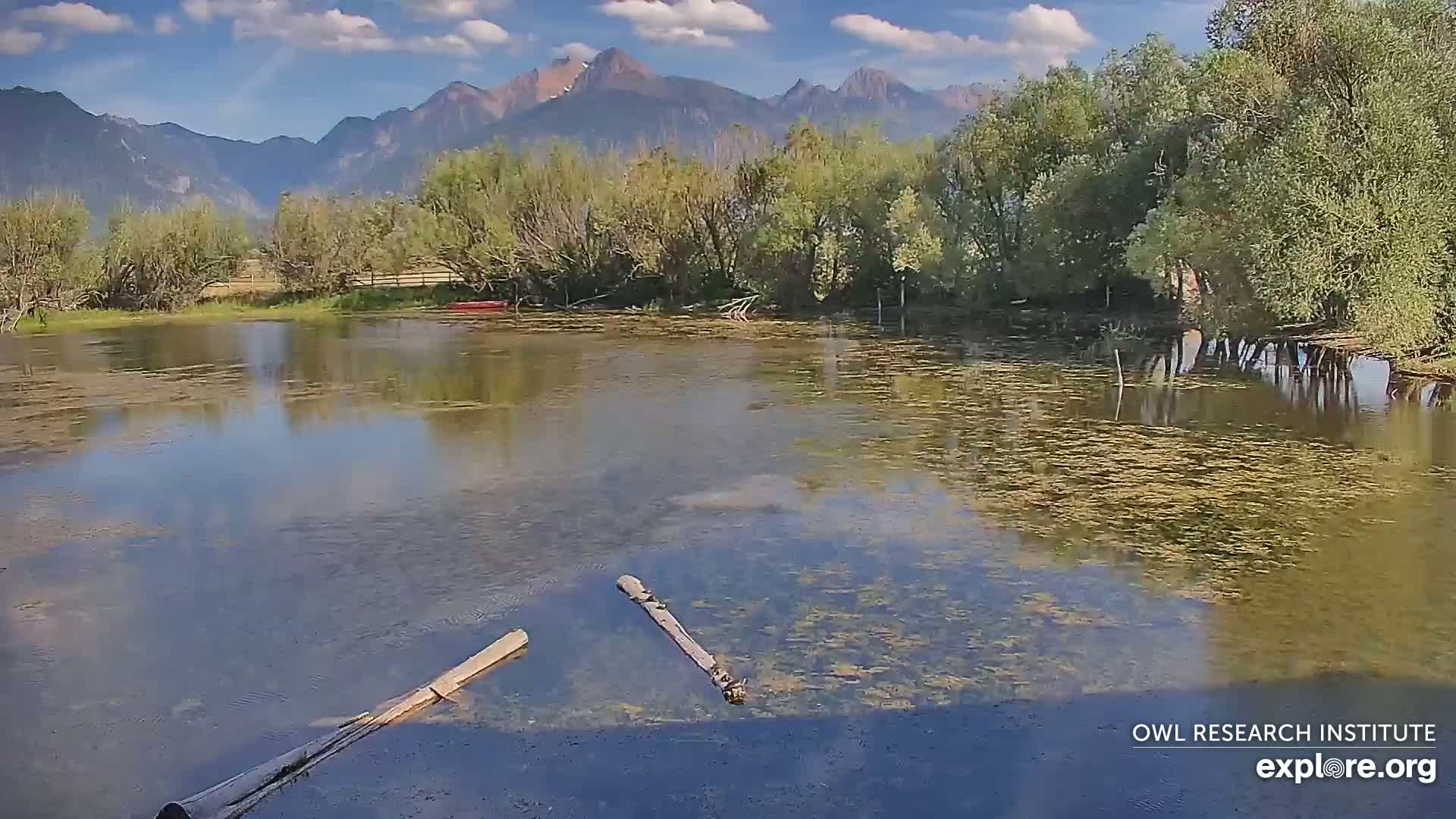 Mission Mountain Range & Mt Calowahcan View from Ninepipe Lodge Wildlife Refuge Live Cam - Charlo, Lake County, Montana, USA