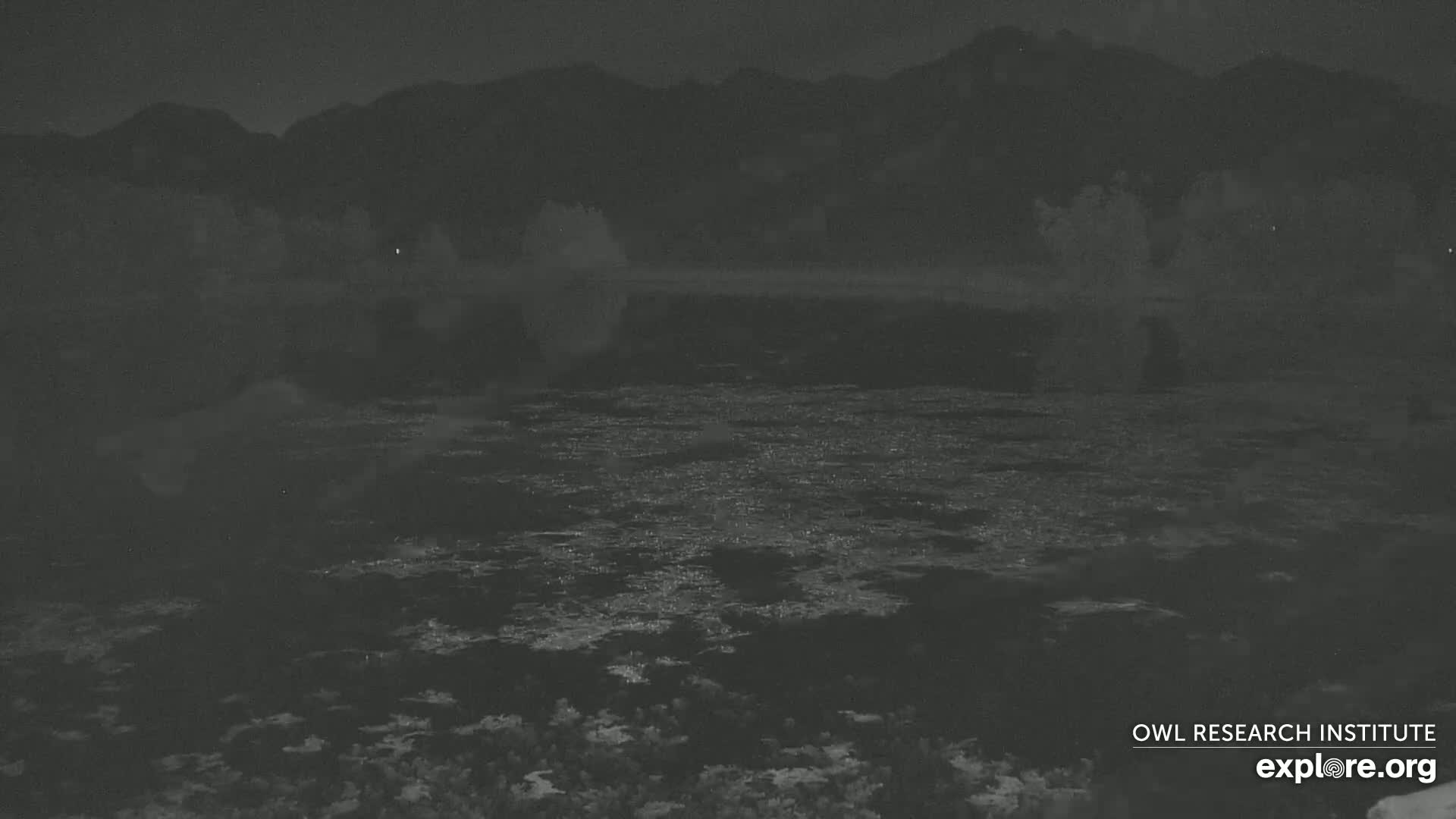 A nighttime view shows a dark body of water with ripples, reflecting a dark shoreline with trees and distant mountains under a cloudy sky.