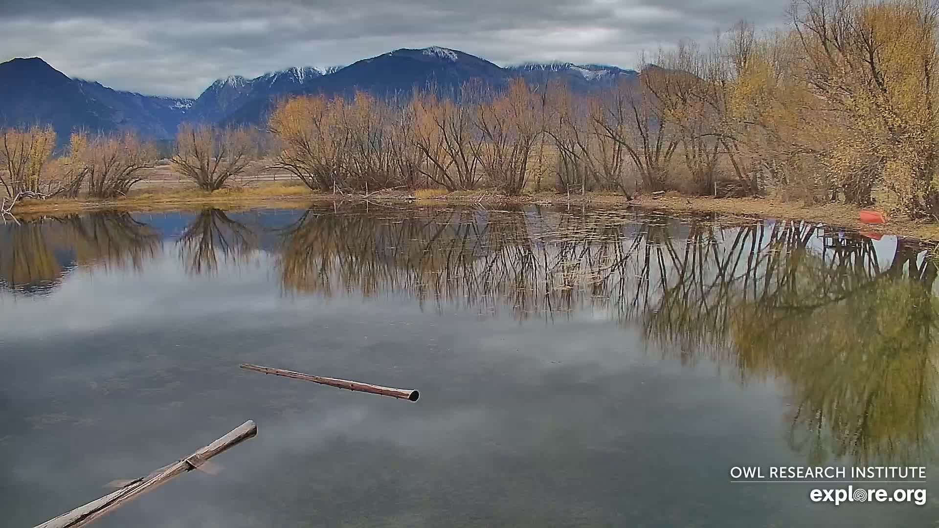 Mission Mountain Range & Mt Calowahcan View from Ninepipe Lodge Wildlife Refuge Live Cam - Charlo, Lake County, Montana, USA