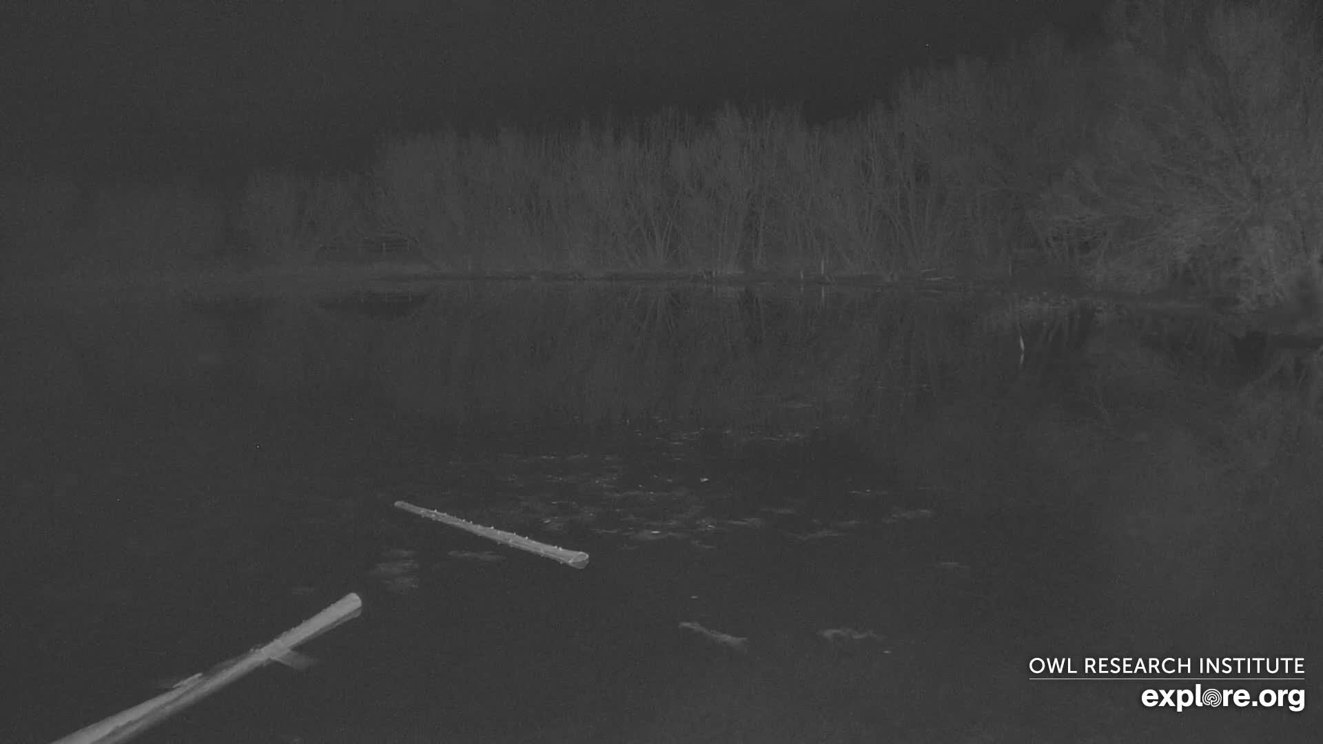 Mission Mountain Range & Mt Calowahcan View from Ninepipe Lodge Wildlife Refuge Live Cam - Charlo, Lake County, Montana, USA