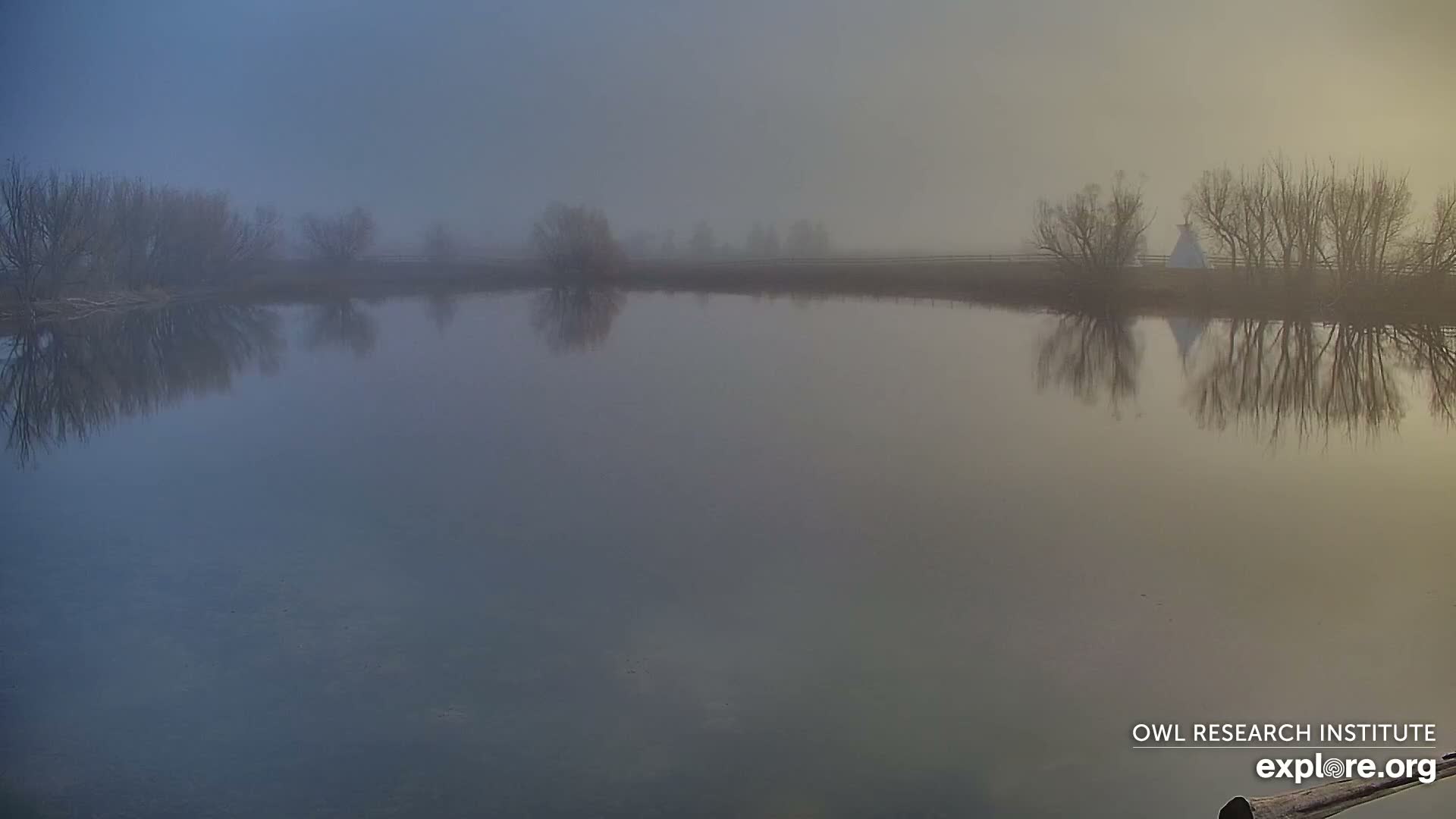 Mission Mountain Range & Mt Calowahcan View from Ninepipe Lodge Wildlife Refuge Live Cam - Charlo, Lake County, Montana, USA