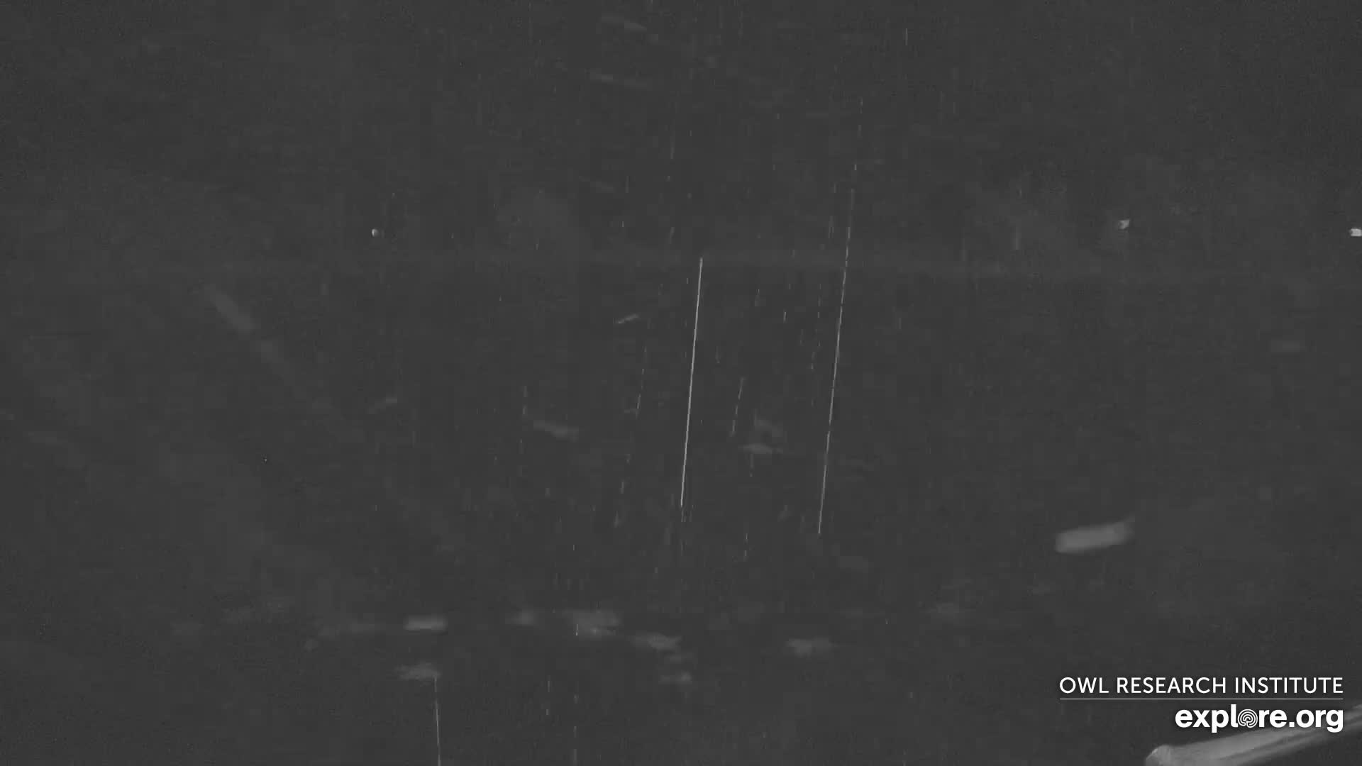 Mission Mountain Range & Mt Calowahcan View from Ninepipe Lodge Wildlife Refuge Live Cam - Charlo, Lake County, Montana, USA