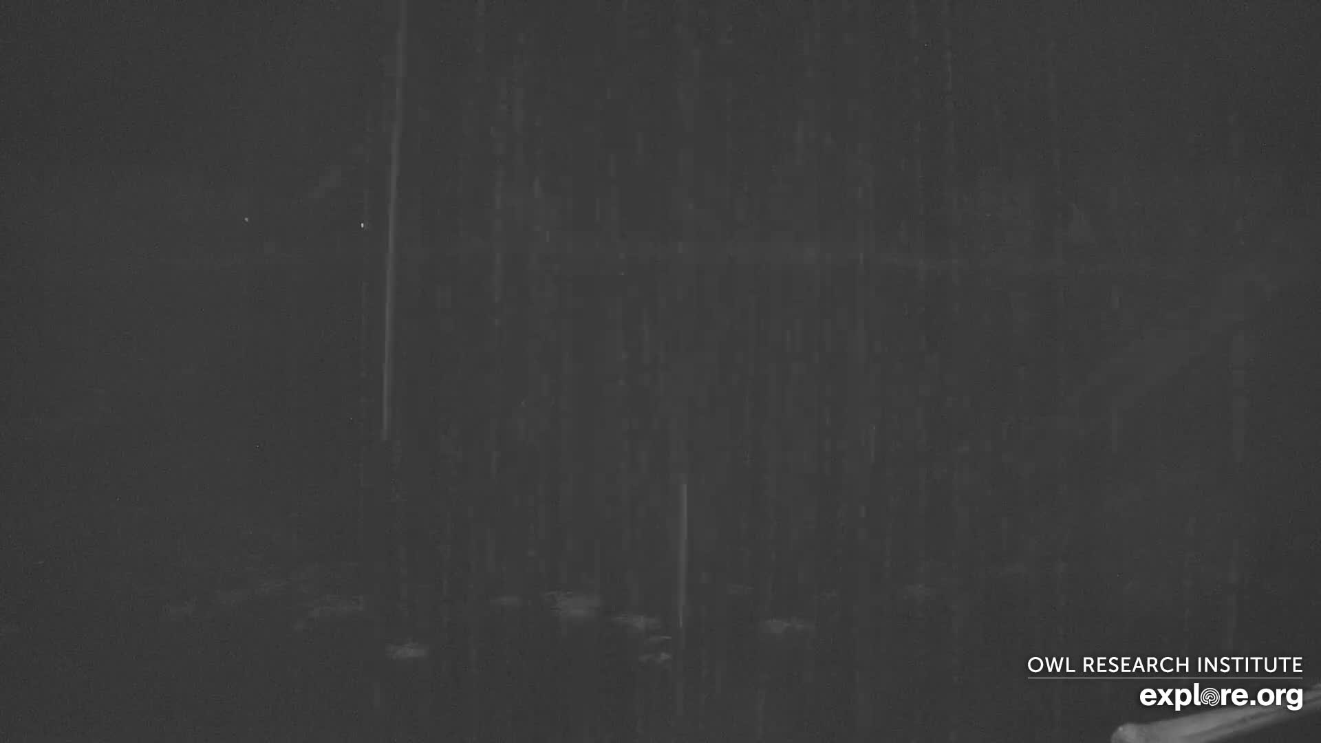 Mission Mountain Range & Mt Calowahcan View from Ninepipe Lodge Wildlife Refuge Live Cam - Charlo, Lake County, Montana, USA