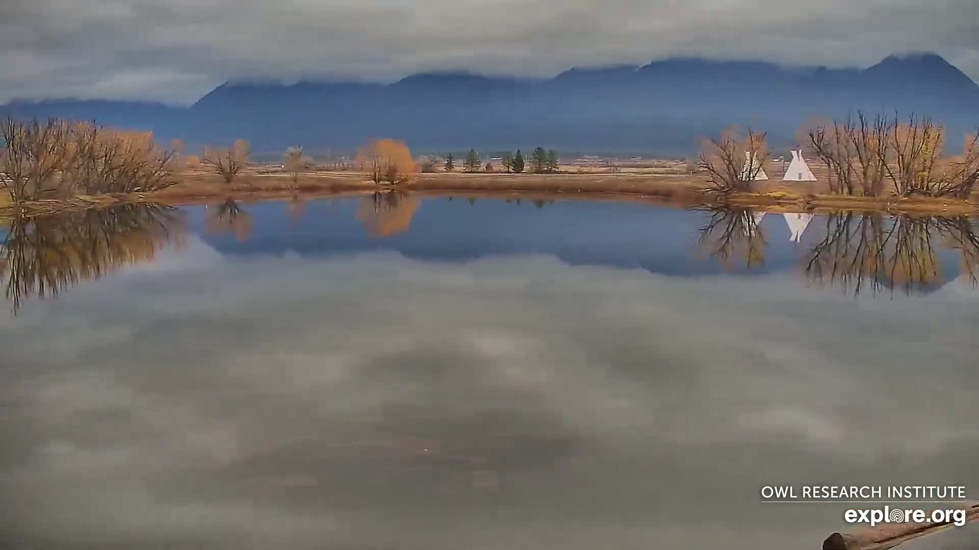 Mission Mountain Range & Mt Calowahcan View from Ninepipe Lodge Wildlife Refuge Live Cam - Charlo, Lake County, Montana, USA