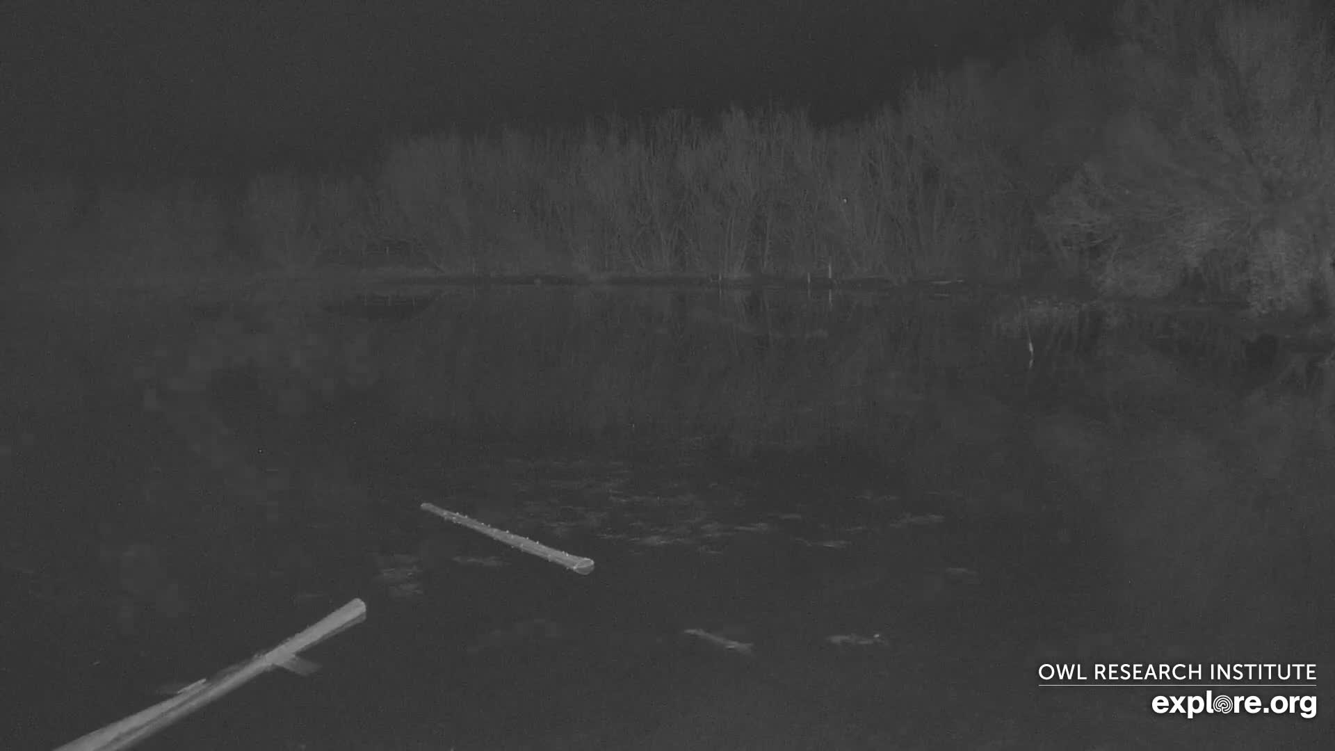 Mission Mountain Range & Mt Calowahcan View from Ninepipe Lodge Wildlife Refuge Live Cam - Charlo, Lake County, Montana, USA