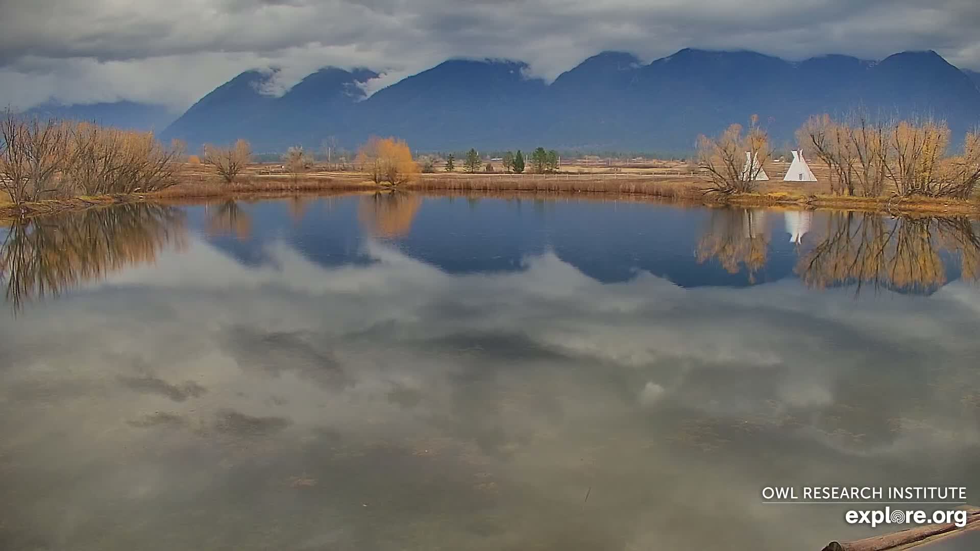 Mission Mountain Range & Mt Calowahcan View from Ninepipe Lodge Wildlife Refuge Live Cam - Charlo, Lake County, Montana, USA