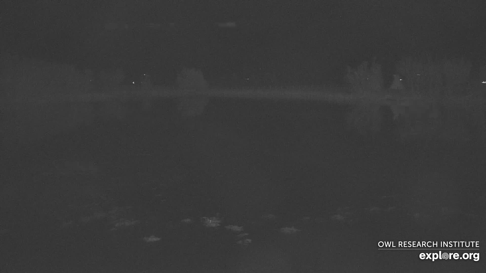 Mission Mountain Range & Mt Calowahcan View from Ninepipe Lodge Wildlife Refuge Live Cam - Charlo, Lake County, Montana, USA