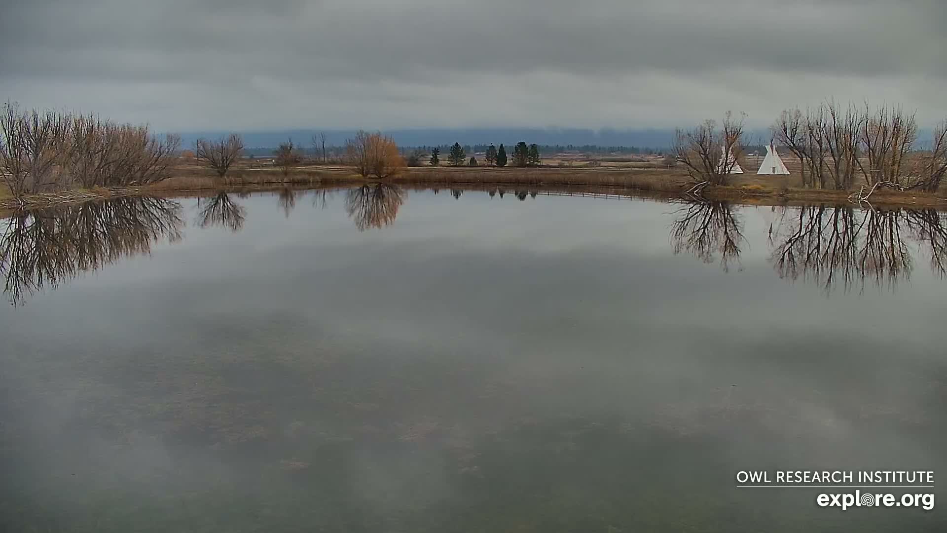 Mission Mountain Range & Mt Calowahcan View from Ninepipe Lodge Wildlife Refuge Live Cam - Charlo, Lake County, Montana, USA
