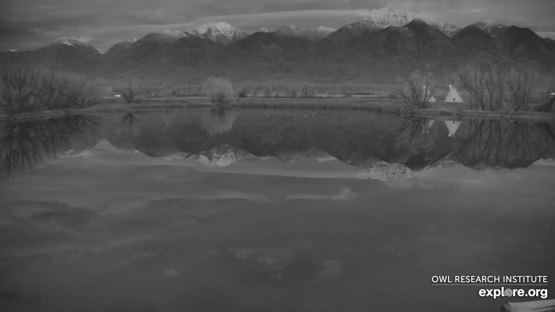 Mission Mountain Range & Mt Calowahcan View from Ninepipe Lodge Wildlife Refuge Live Cam - Charlo, Lake County, Montana, USA
