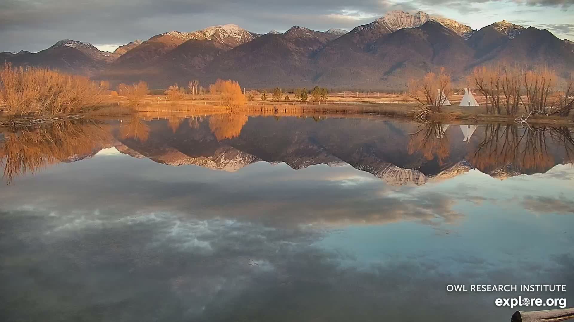 Mission Mountain Range & Mt Calowahcan View from Ninepipe Lodge Wildlife Refuge Live Cam - Charlo, Lake County, Montana, USA