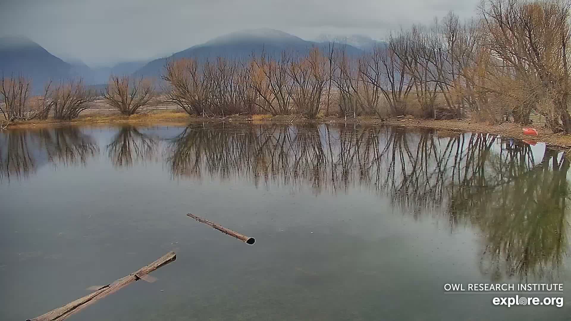 Mission Mountain Range & Mt Calowahcan View from Ninepipe Lodge Wildlife Refuge Live Cam - Charlo, Lake County, Montana, USA