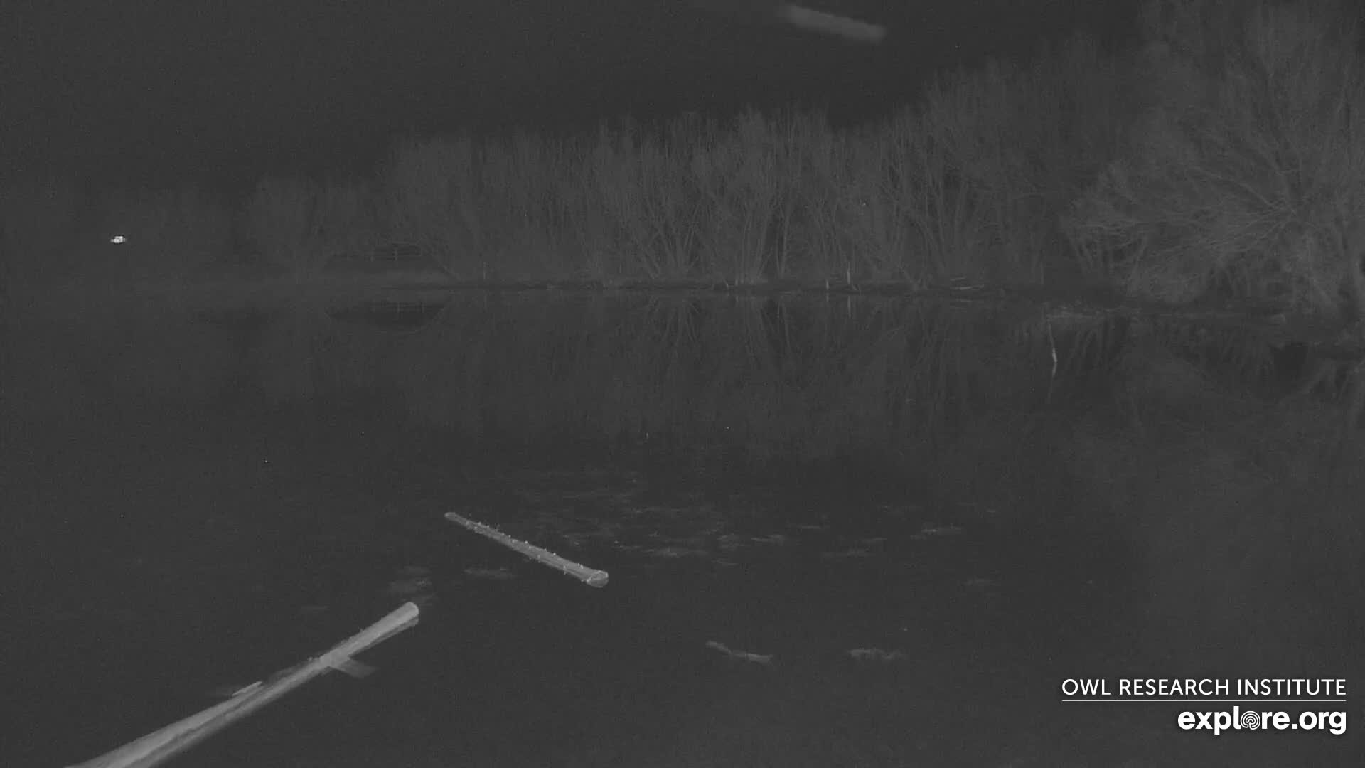 Mission Mountain Range & Mt Calowahcan View from Ninepipe Lodge Wildlife Refuge Live Cam - Charlo, Lake County, Montana, USA