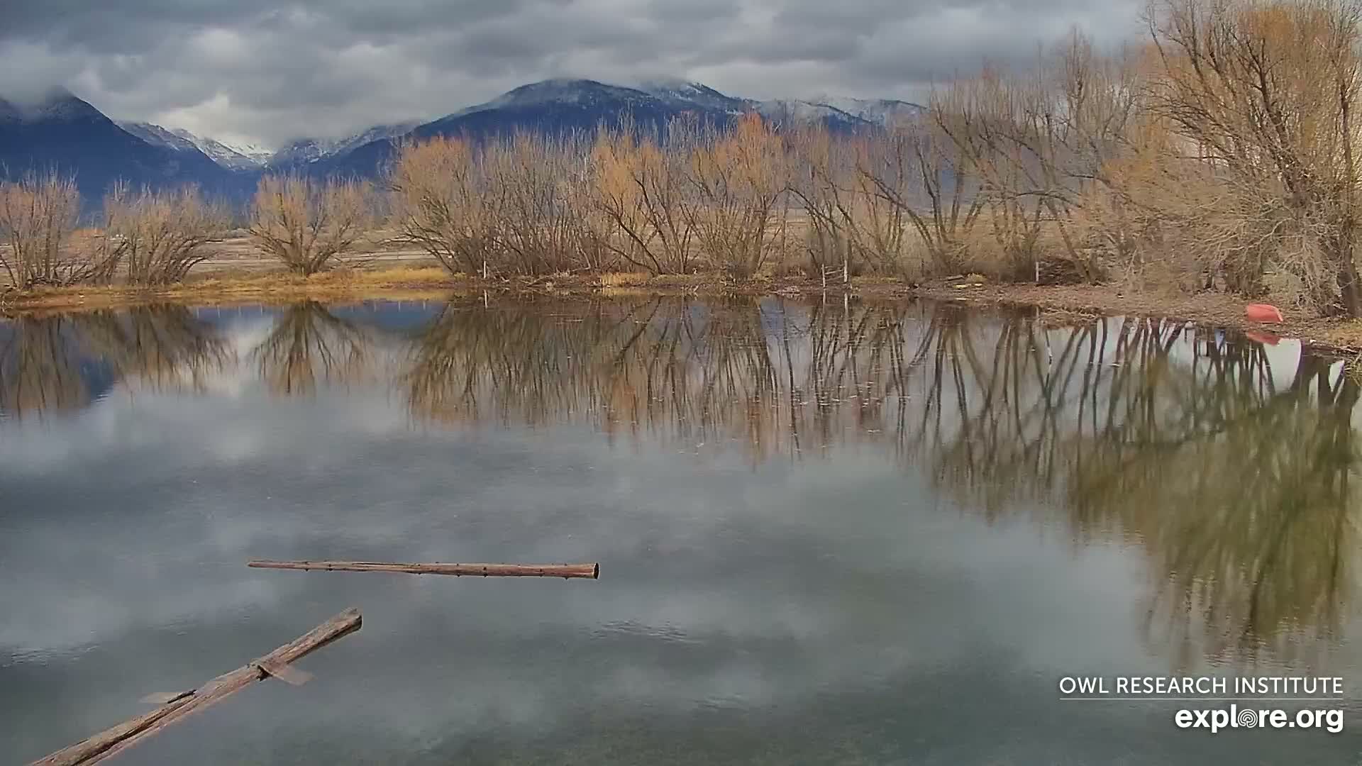 Mission Mountain Range & Mt Calowahcan View from Ninepipe Lodge Wildlife Refuge Live Cam - Charlo, Lake County, Montana, USA