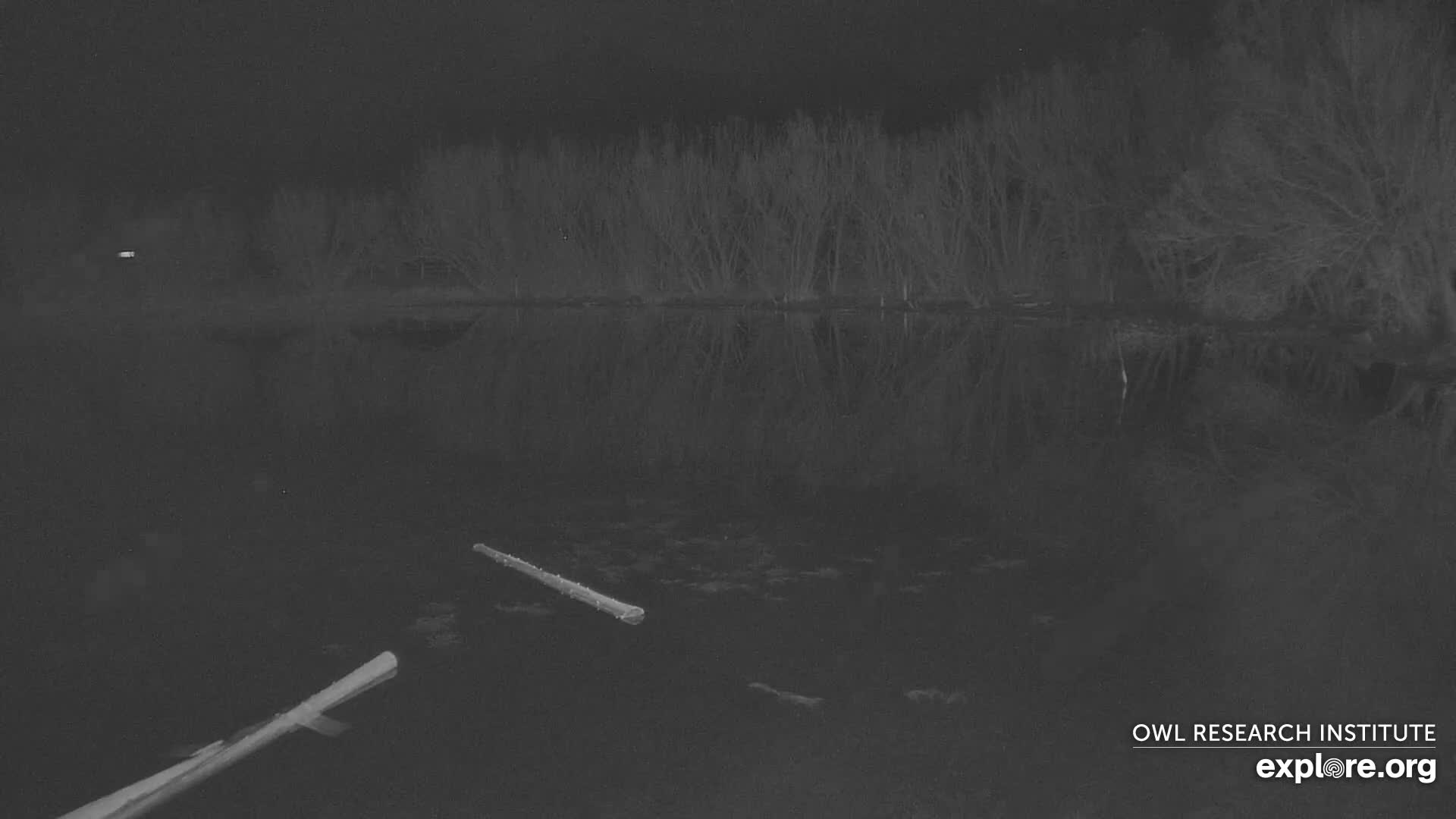 Mission Mountain Range & Mt Calowahcan View from Ninepipe Lodge Wildlife Refuge Live Cam - Charlo, Lake County, Montana, USA