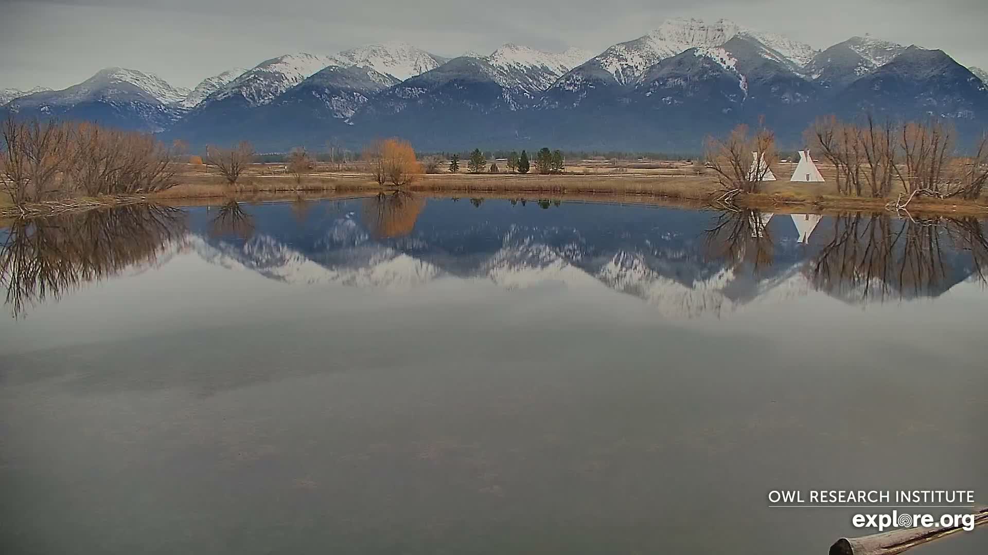 Mission Mountain Range & Mt Calowahcan View from Ninepipe Lodge Wildlife Refuge Live Cam - Charlo, Lake County, Montana, USA