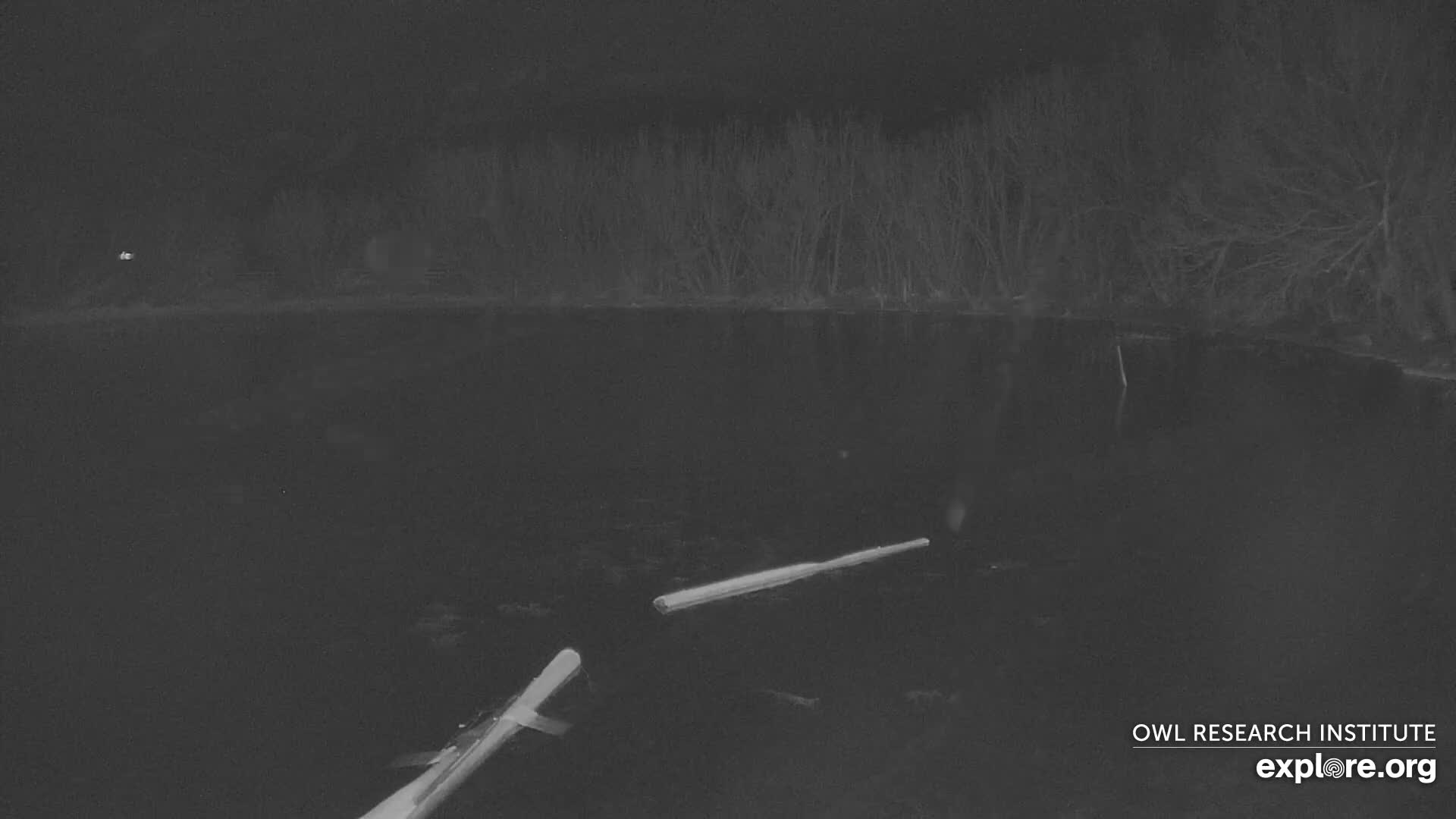 Mission Mountain Range & Mt Calowahcan View from Ninepipe Lodge Wildlife Refuge Live Cam - Charlo, Lake County, Montana, USA