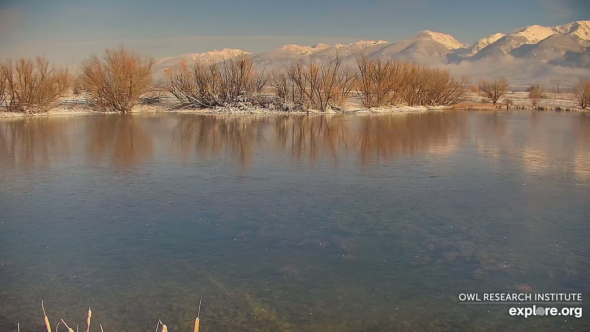 Mission Mountain Range & Mt Calowahcan View from Ninepipe Lodge Wildlife Refuge Live Cam - Charlo, Lake County, Montana, USA