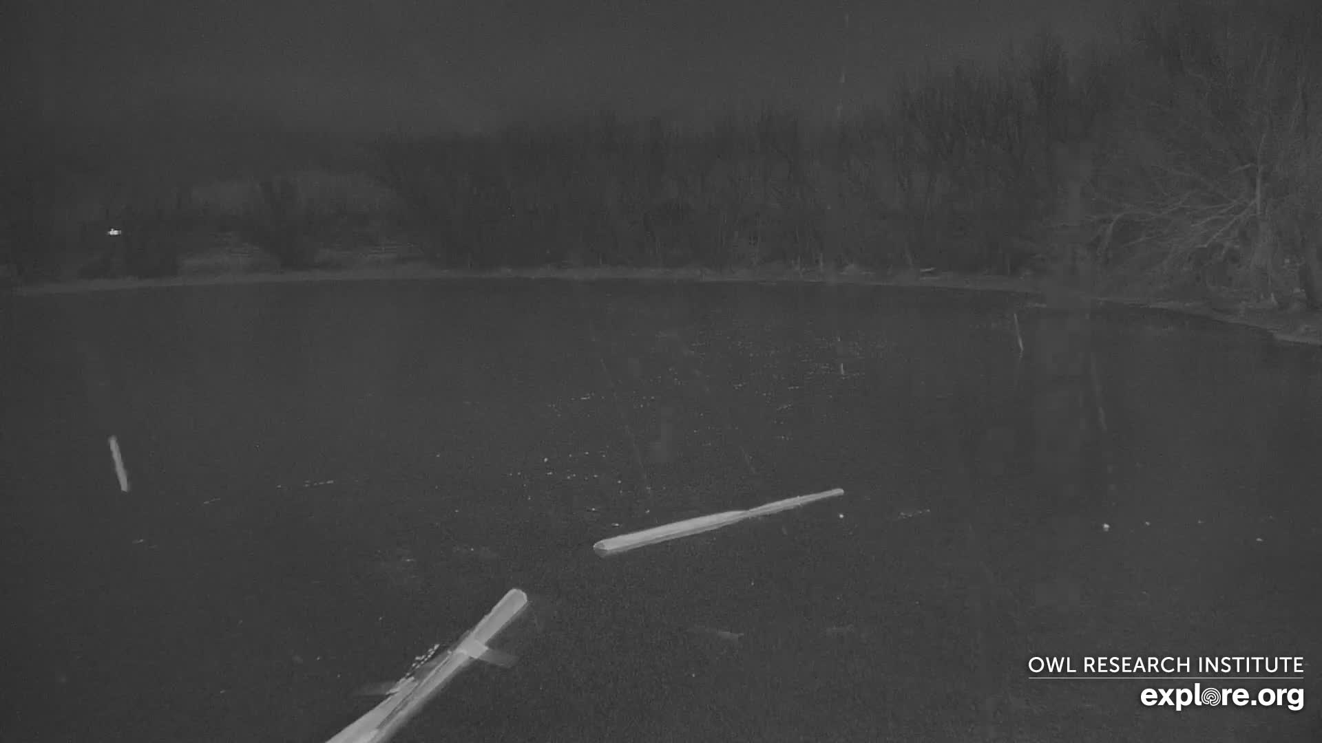 Mission Mountain Range & Mt Calowahcan View from Ninepipe Lodge Wildlife Refuge Live Cam - Charlo, Lake County, Montana, USA