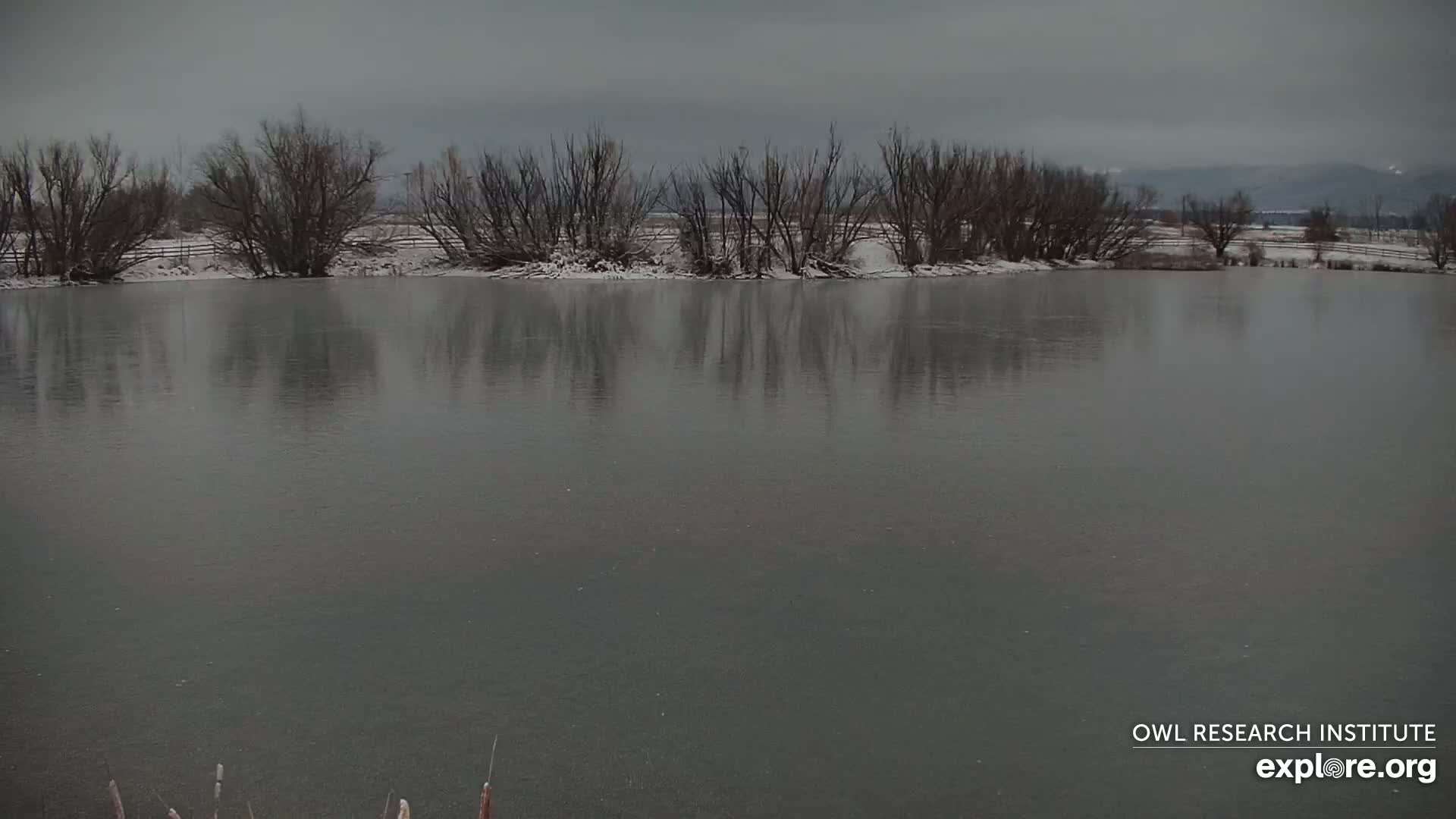 Mission Mountain Range & Mt Calowahcan View from Ninepipe Lodge Wildlife Refuge Live Cam - Charlo, Lake County, Montana, USA