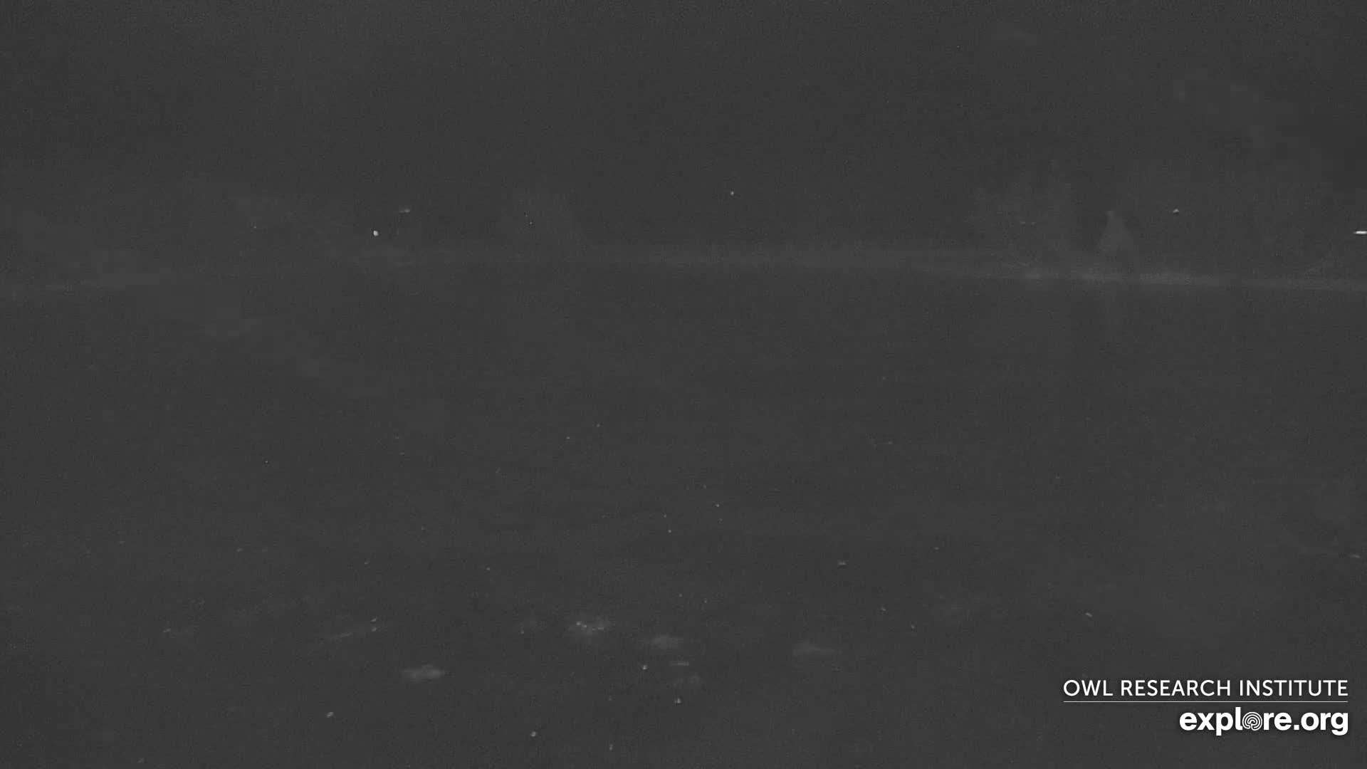 An extremely dark, grainy monochromatic image displays a vast outdoor landscape at night, featuring a faint horizon line that separates a subtly textured foreground, possibly water or snow, from a dark sky dotted with minuscule points of light, suggesting clear weather but very low visibility.