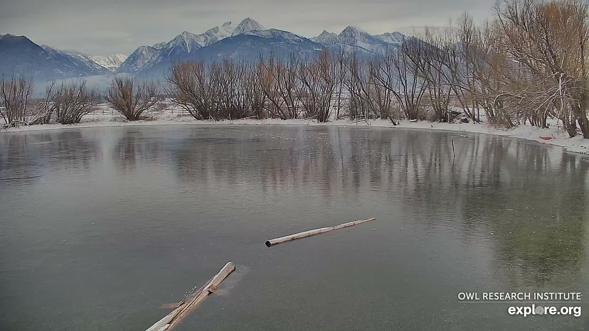 Mission Mountain Range & Mt Calowahcan View from Ninepipe Lodge Wildlife Refuge Live Cam - Charlo, Lake County, Montana, USA